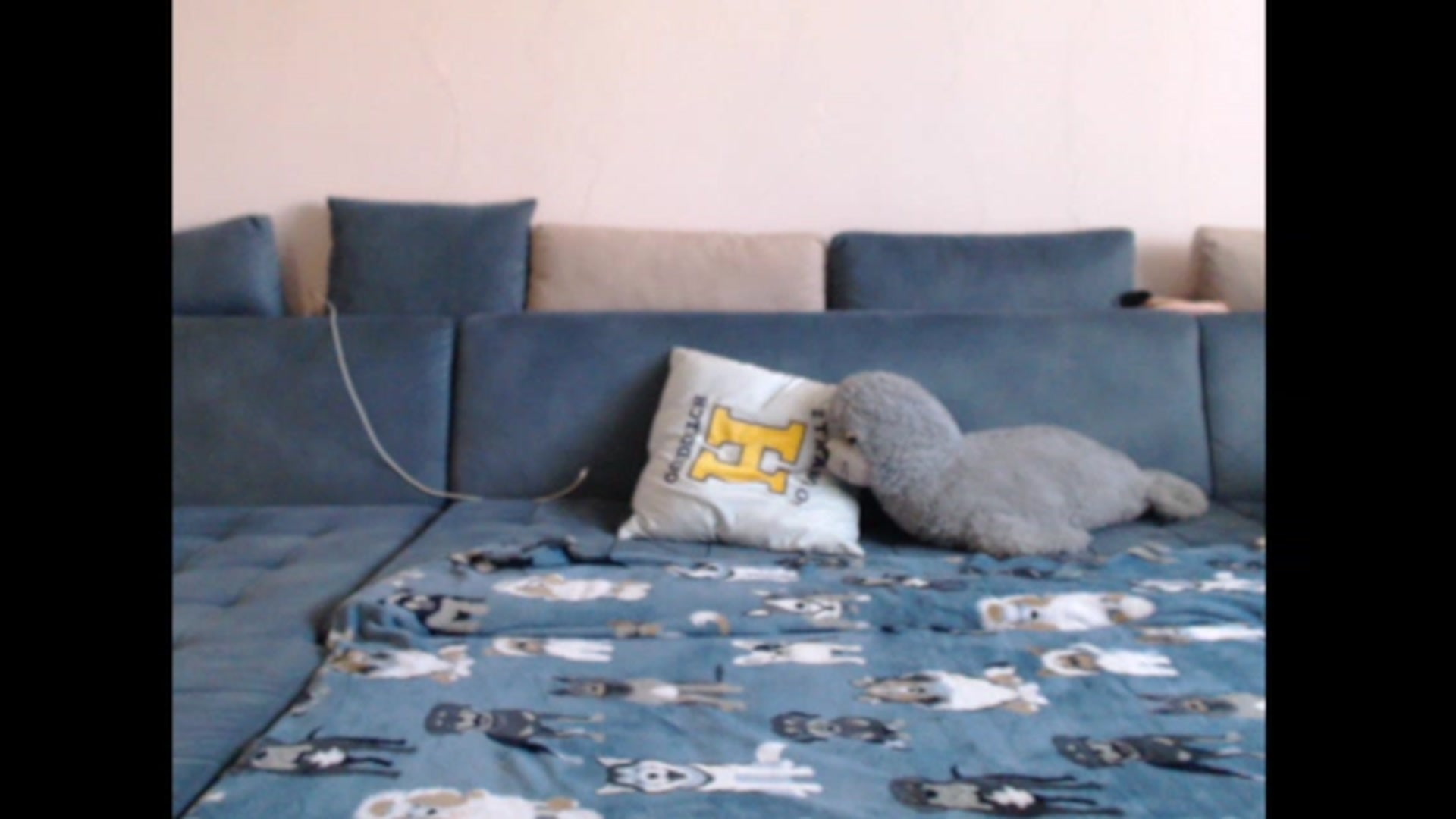 Gallery image thumbnail from PinkVonTease's myfreecams stream on, 09/26/2023, 12:32 image 12 of 20