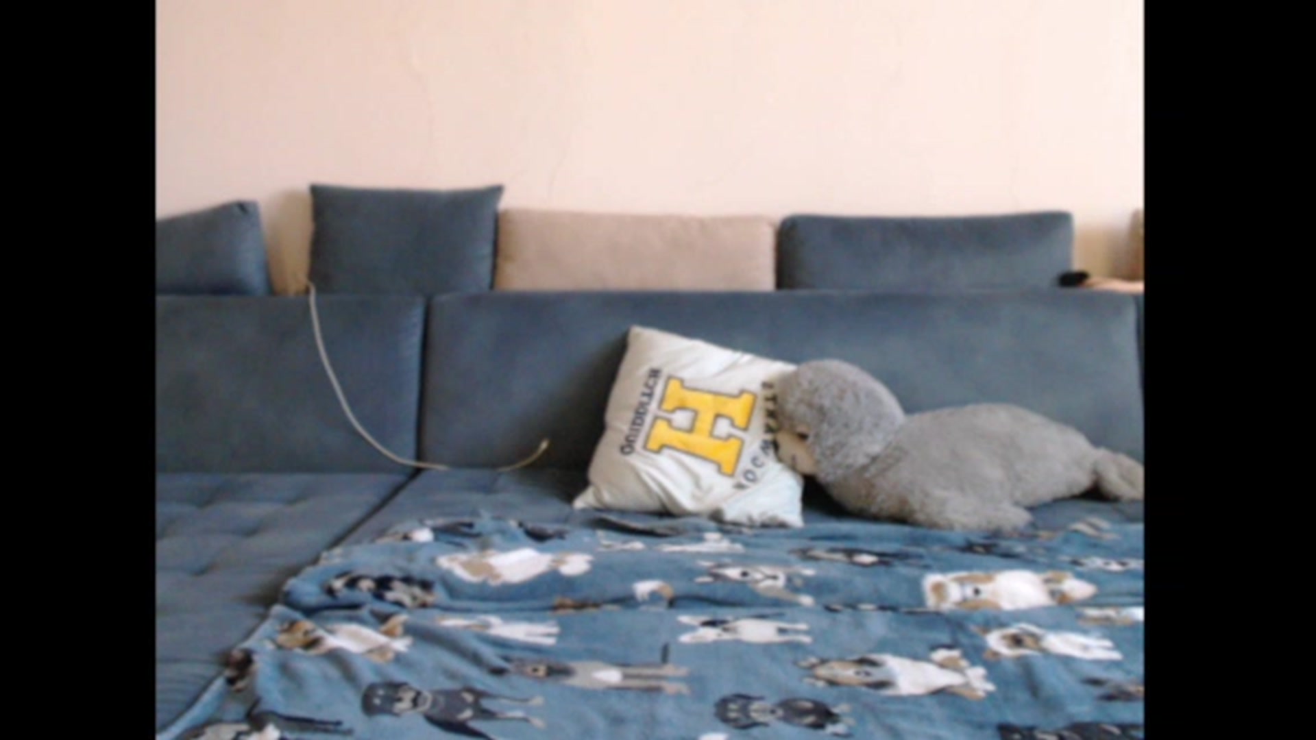 Gallery image thumbnail from PinkVonTease's myfreecams stream on, 09/26/2023, 13:30 image 3 of 20