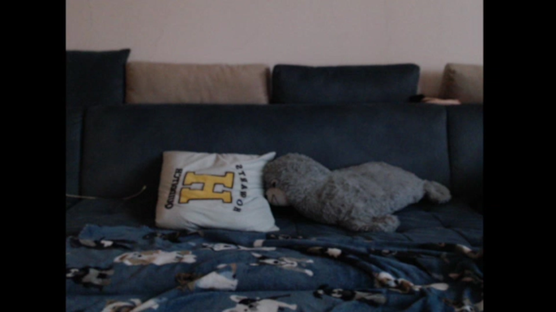 Gallery image thumbnail from PinkVonTease's myfreecams stream on, 09/26/2023, 15:52 image 7 of 20