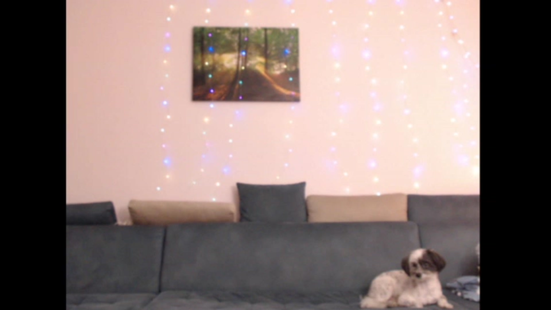 Gallery image thumbnail from PinkVonTease's myfreecams stream on, 10/26/2023, 18:54 image 18 of 20
