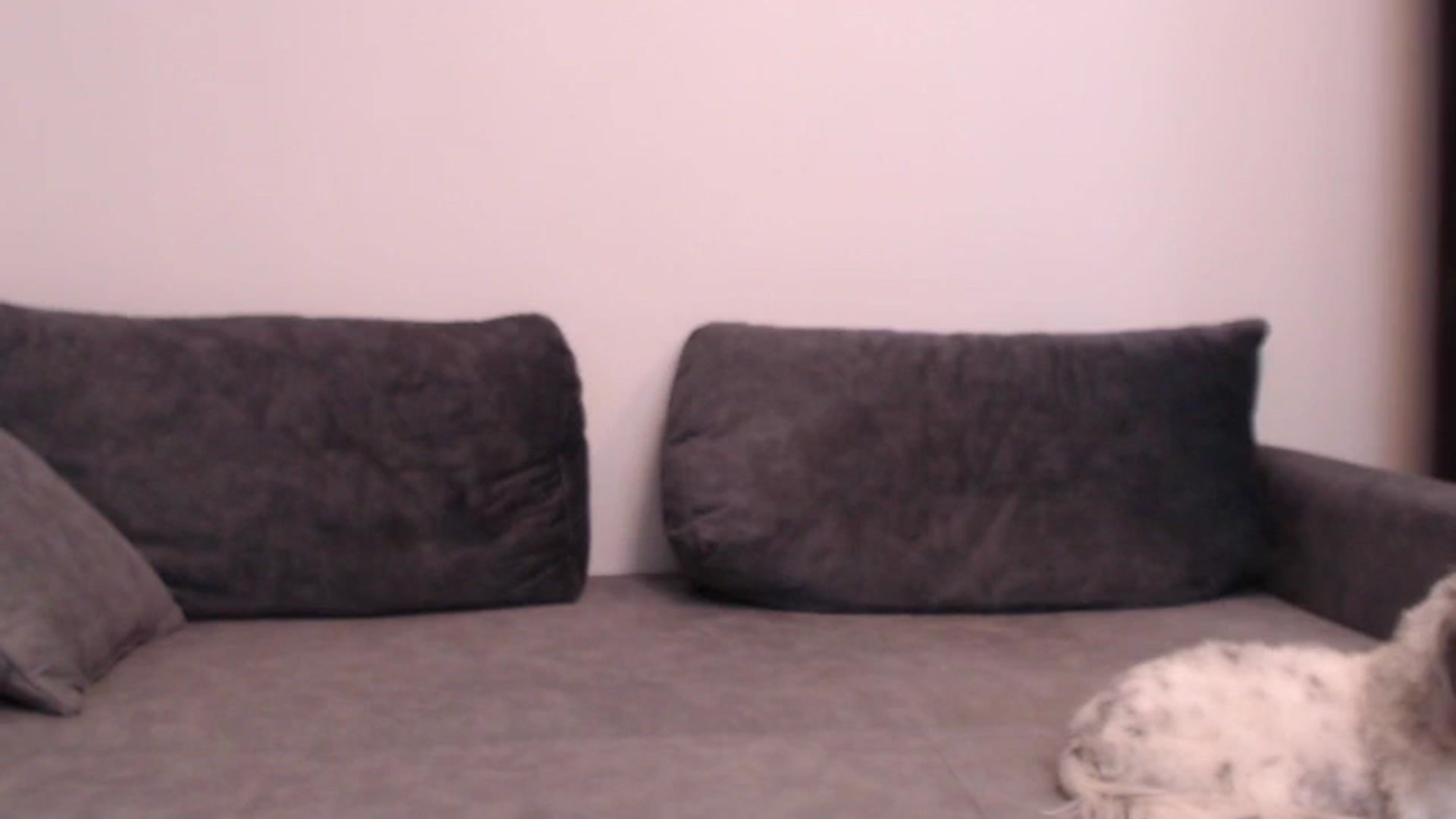 Gallery image thumbnail from PinkVonTease's myfreecams stream on, 01/27/2025, 17:58 image 18 of 20