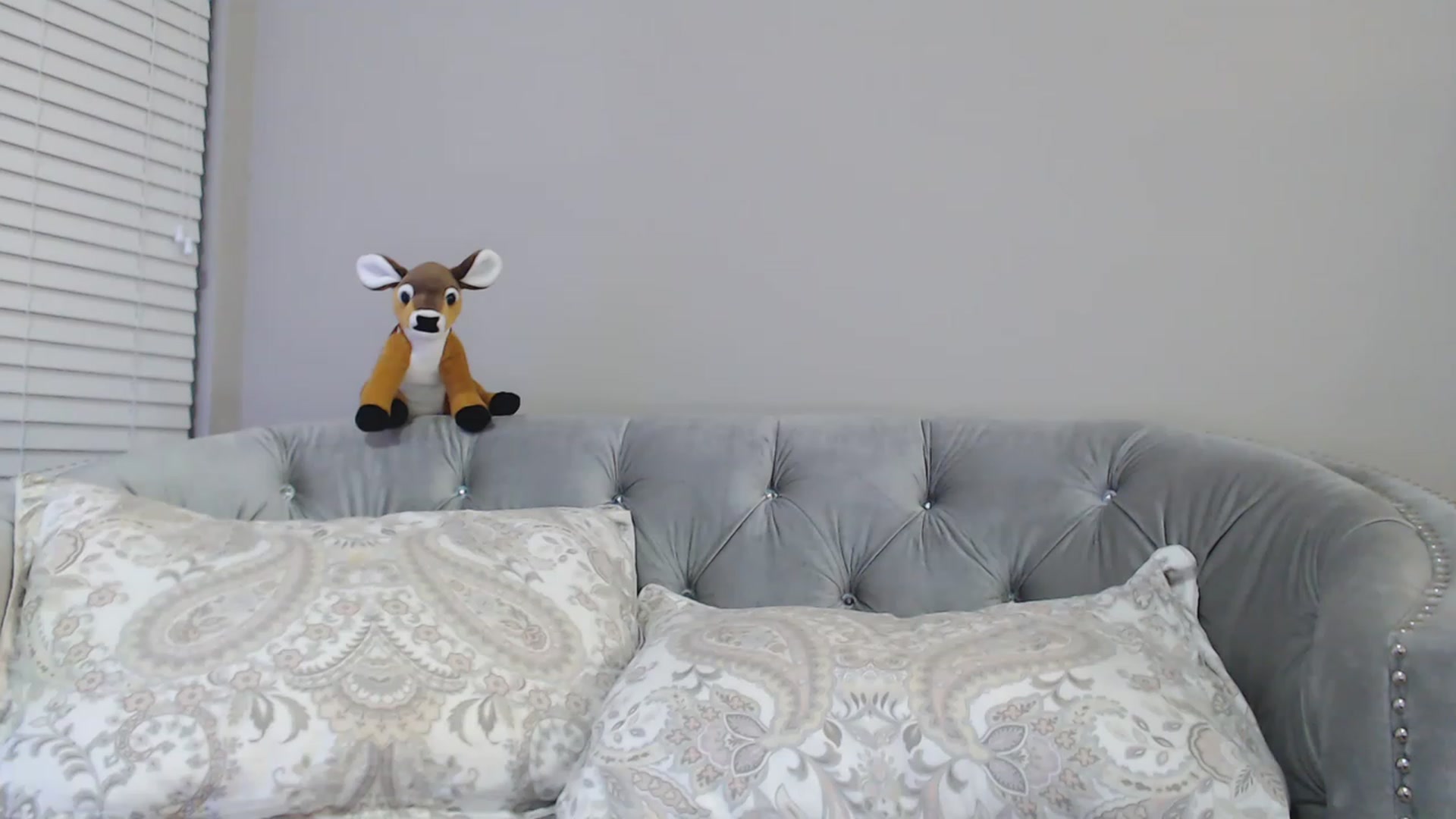 Gallery image thumbnail from Pink_Fawnnie_'s myfreecams stream on, 01/15/2023, 09:11 image 13 of 20