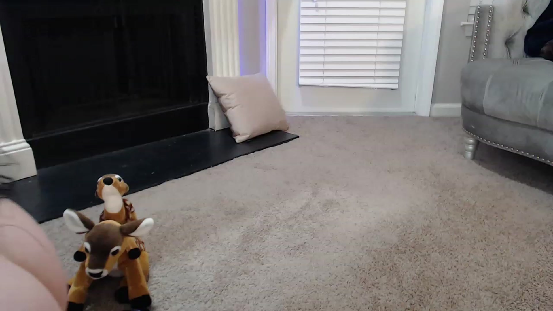 Gallery image thumbnail from Pink_Fawnnie_'s myfreecams stream on, 02/12/2023, 08:46 image 16 of 20