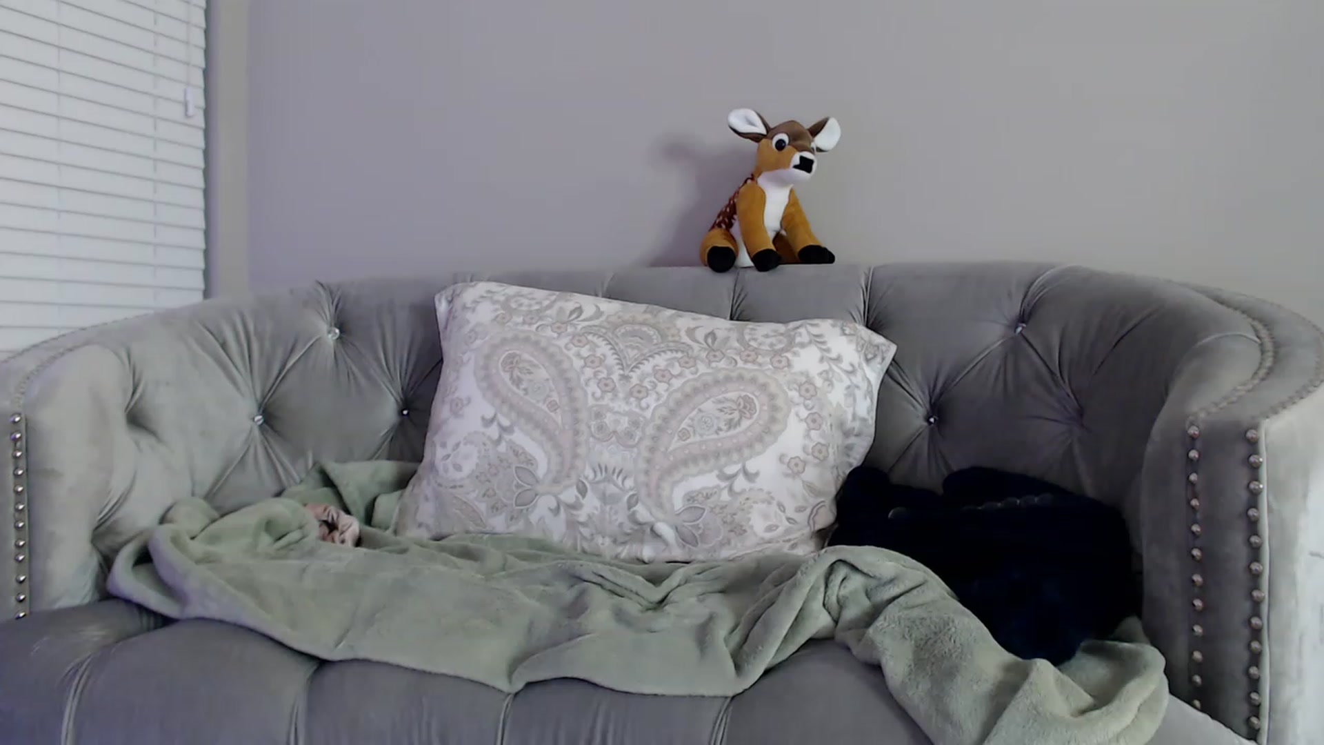 Gallery image thumbnail from Pink_Fawnnn's myfreecams stream on, 03/26/2023, 09:57 image 15 of 20
