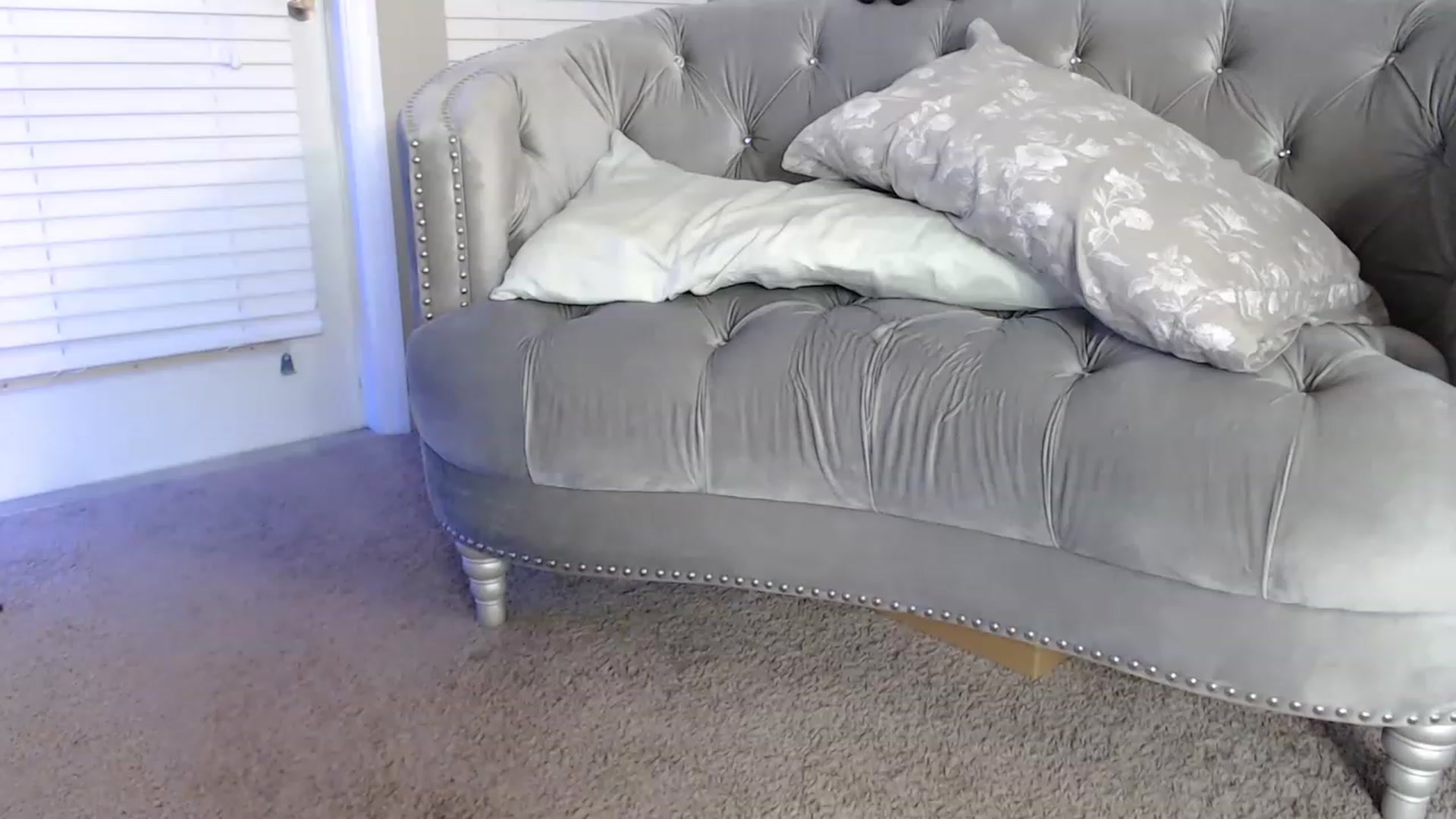 Gallery image thumbnail from Pink_Fawnnn's myfreecams stream on, 08/24/2023, 07:42 image 16 of 20