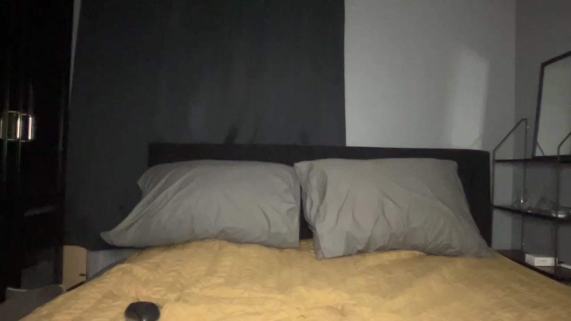 Gallery image thumbnail from Pink_zecret's myfreecams stream on, 02/11/2023, 15:19 image 16 of 20