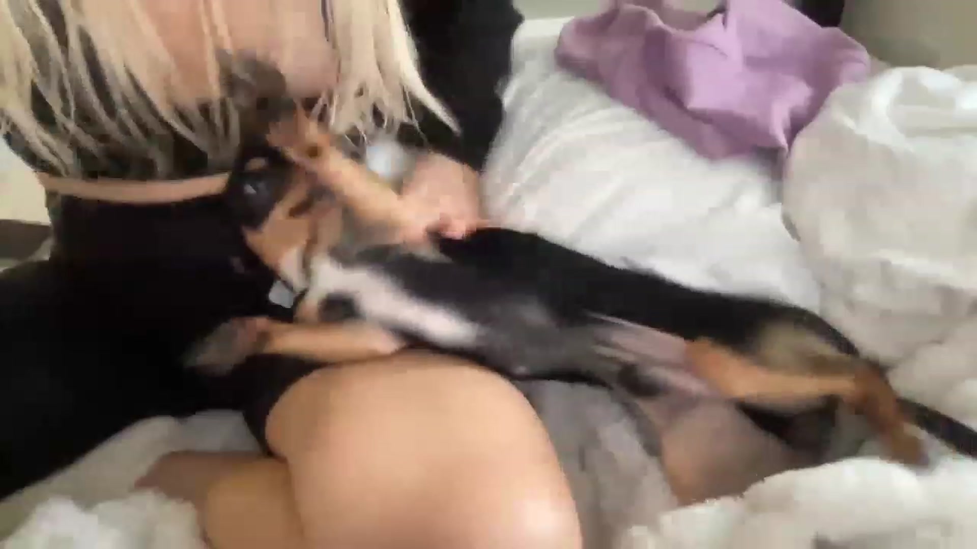 Gallery image thumbnail from PinkkittyPlay's myfreecams stream on, 11/18/2022, 18:50 image 4 of 20