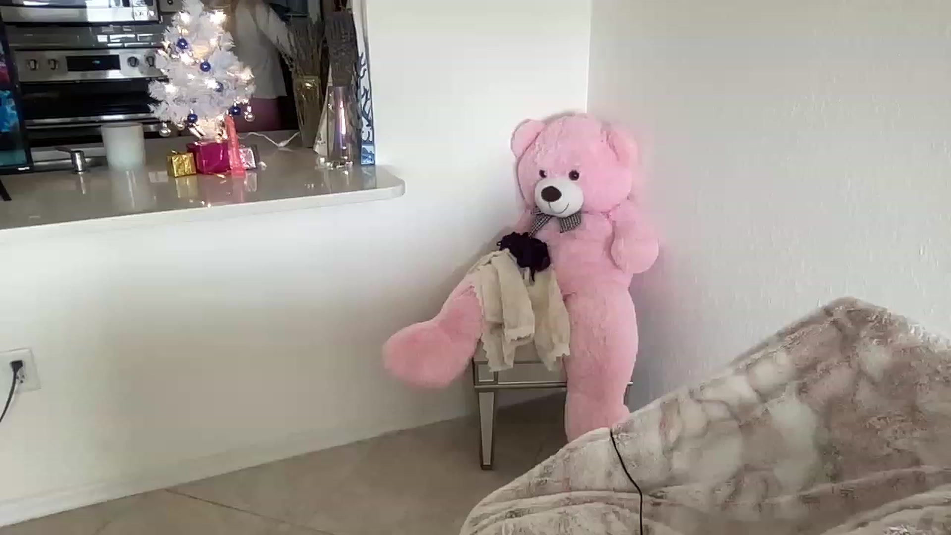 Gallery image thumbnail from PinkkittyPlay's myfreecams stream on, 11/22/2022, 18:37 image 12 of 20