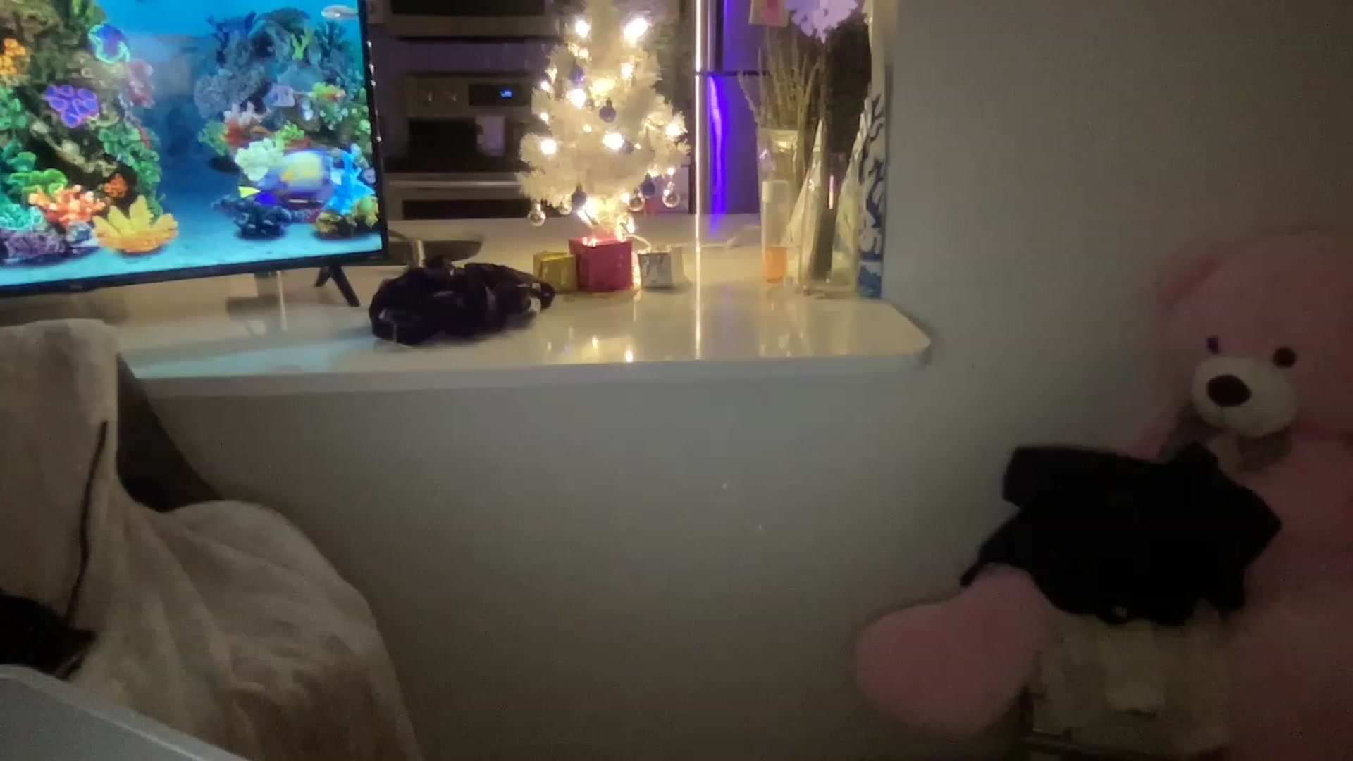 Gallery image thumbnail from PinkkittyPlay's myfreecams stream on, 11/25/2022, 24:37 image 11 of 20