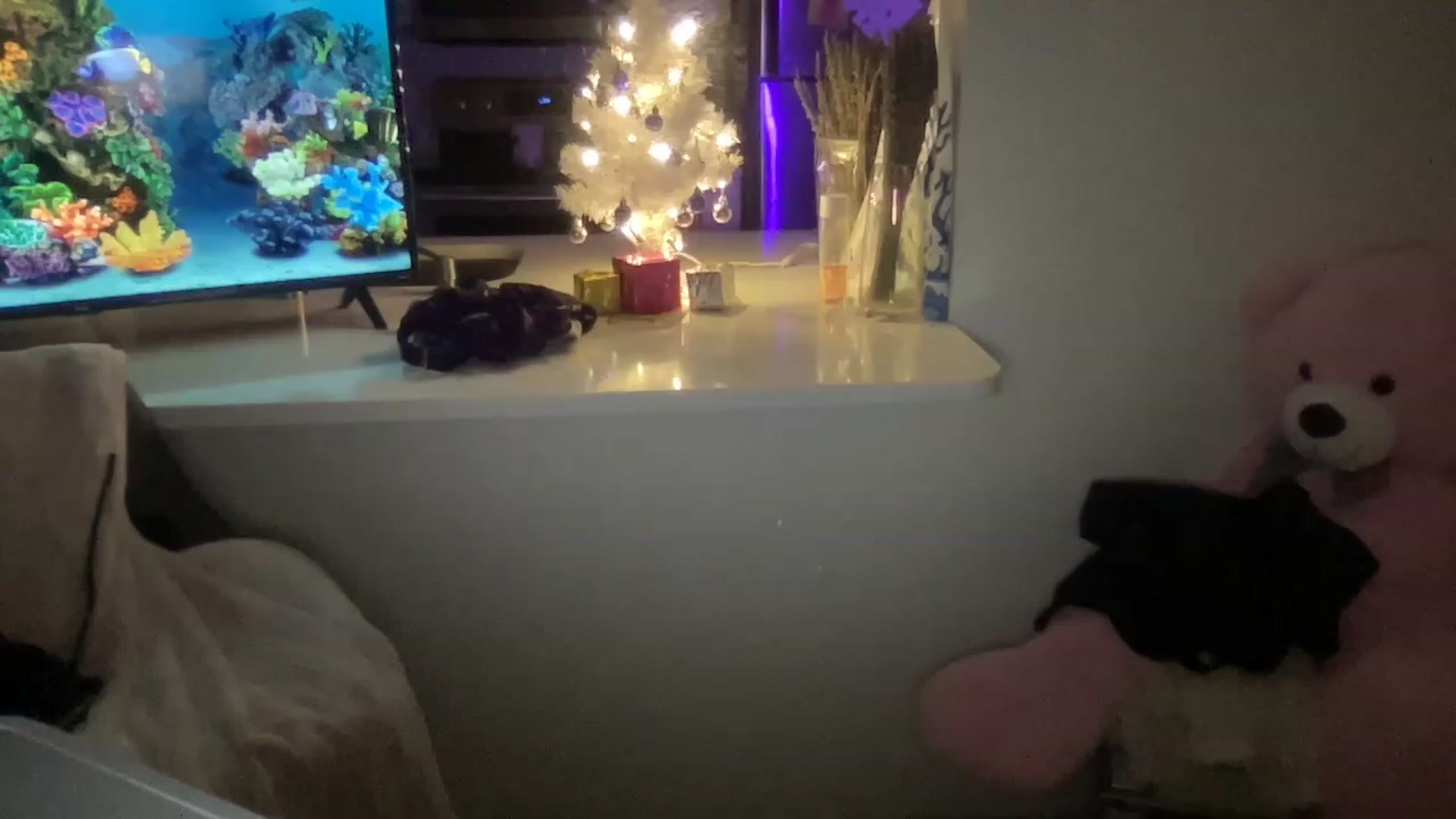 Gallery image thumbnail from PinkkittyPlay's myfreecams stream on, 11/25/2022, 24:37 image 10 of 20