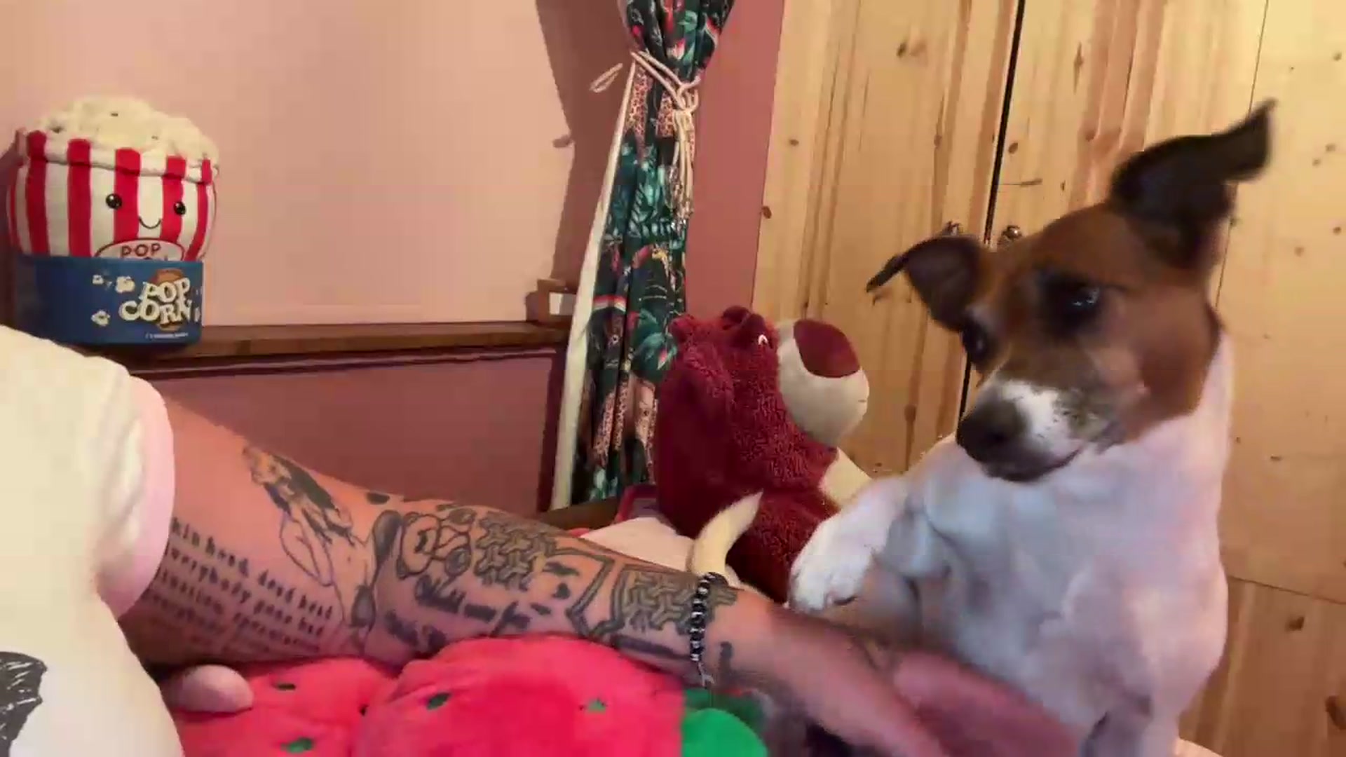 Gallery image thumbnail from Pinkpantherr's myfreecams stream on, 08/29/2026, 20:49 image 16 of 20