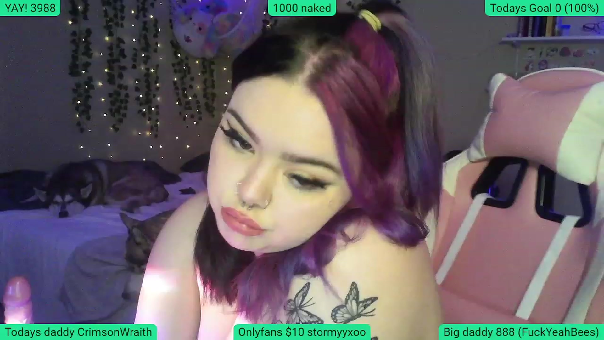 Gallery image thumbnail from Pinkypuddles's myfreecams stream on, 01/11/2024, 03:39 image 15 of 20