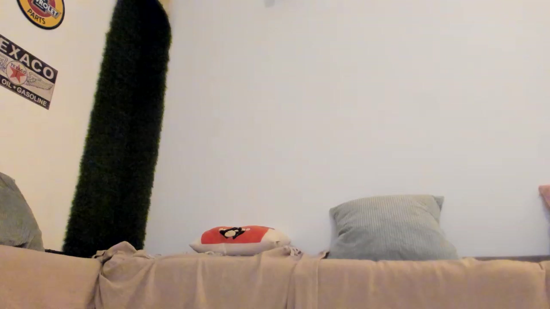 Gallery image thumbnail from PisuVamp_'s myfreecams stream on, 03/19/2023, 21:11 image 7 of 20