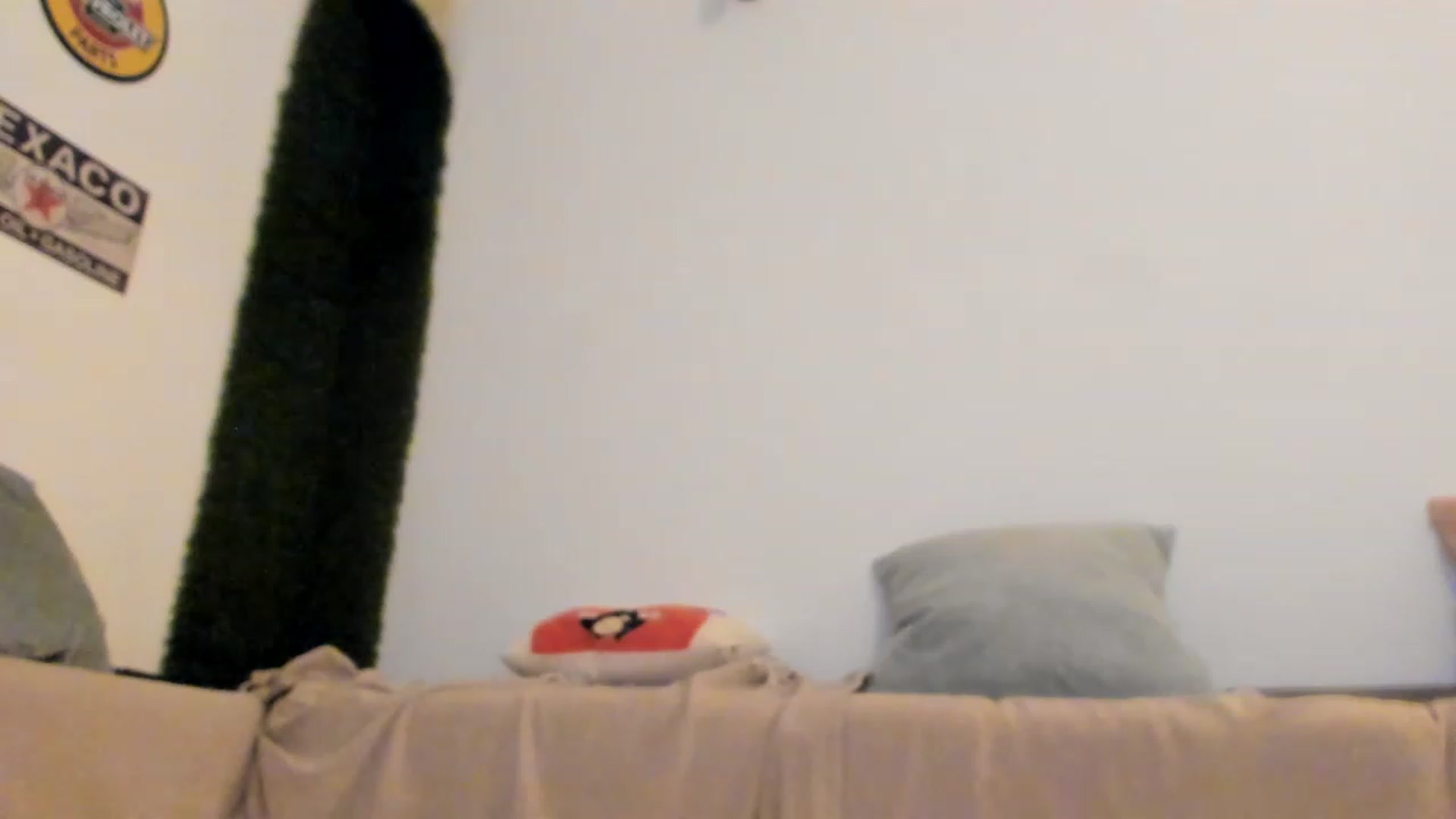 Gallery image thumbnail from PisuVamp_'s myfreecams stream on, 03/19/2023, 21:11 image 2 of 20