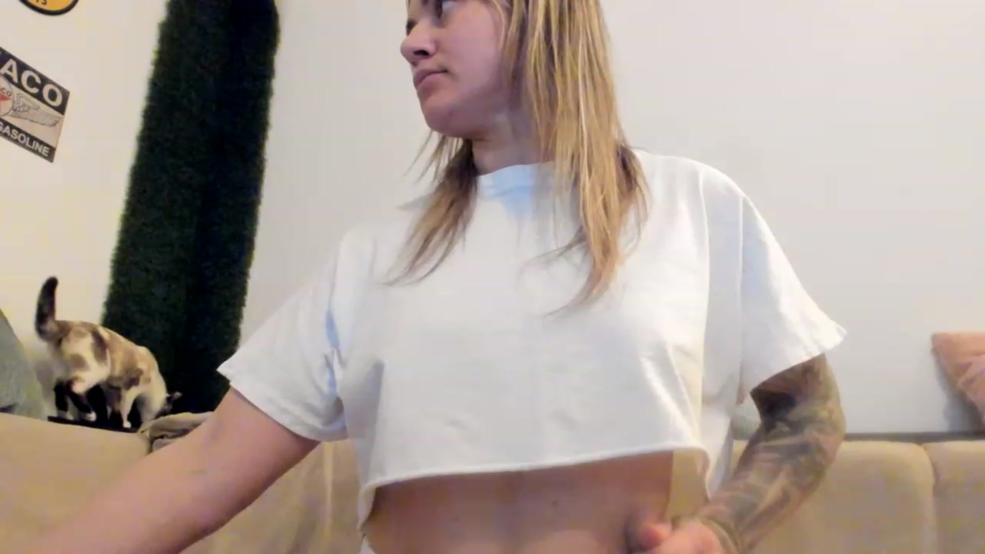 Gallery image thumbnail from PisuVamp_'s myfreecams stream on, 03/20/2023, 21:09 image 13 of 20