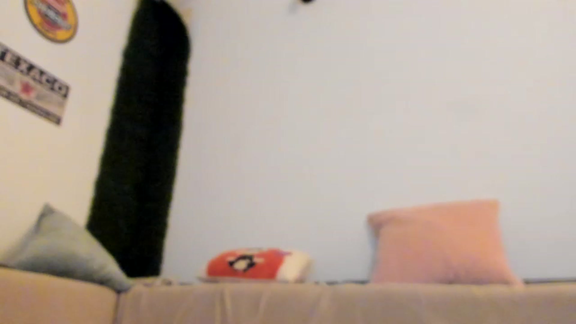 Gallery image thumbnail from PisuVamp_'s myfreecams stream on, 04/03/2023, 20:16 image 11 of 20