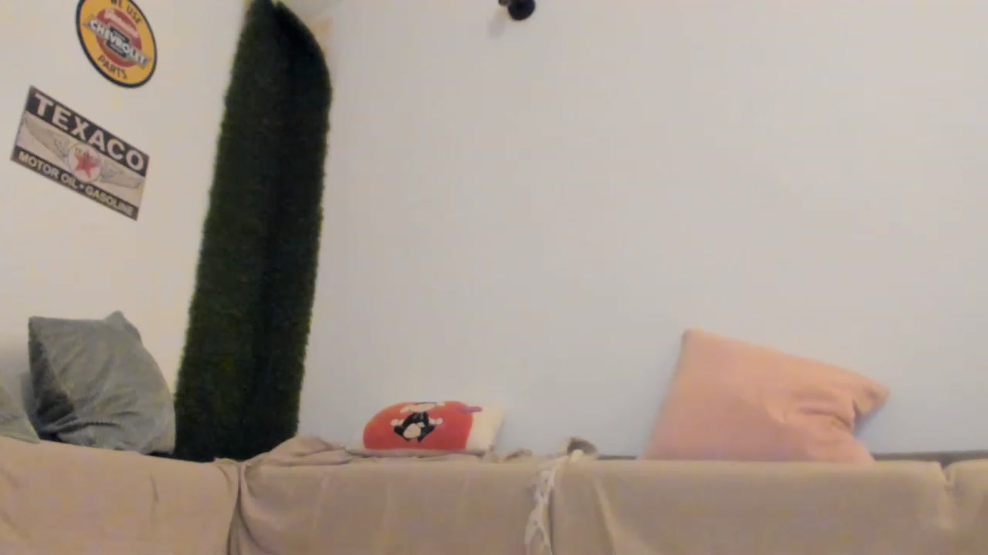 Gallery image thumbnail from PisuVamp_'s myfreecams stream on, 04/26/2023, 21:52 image 7 of 20