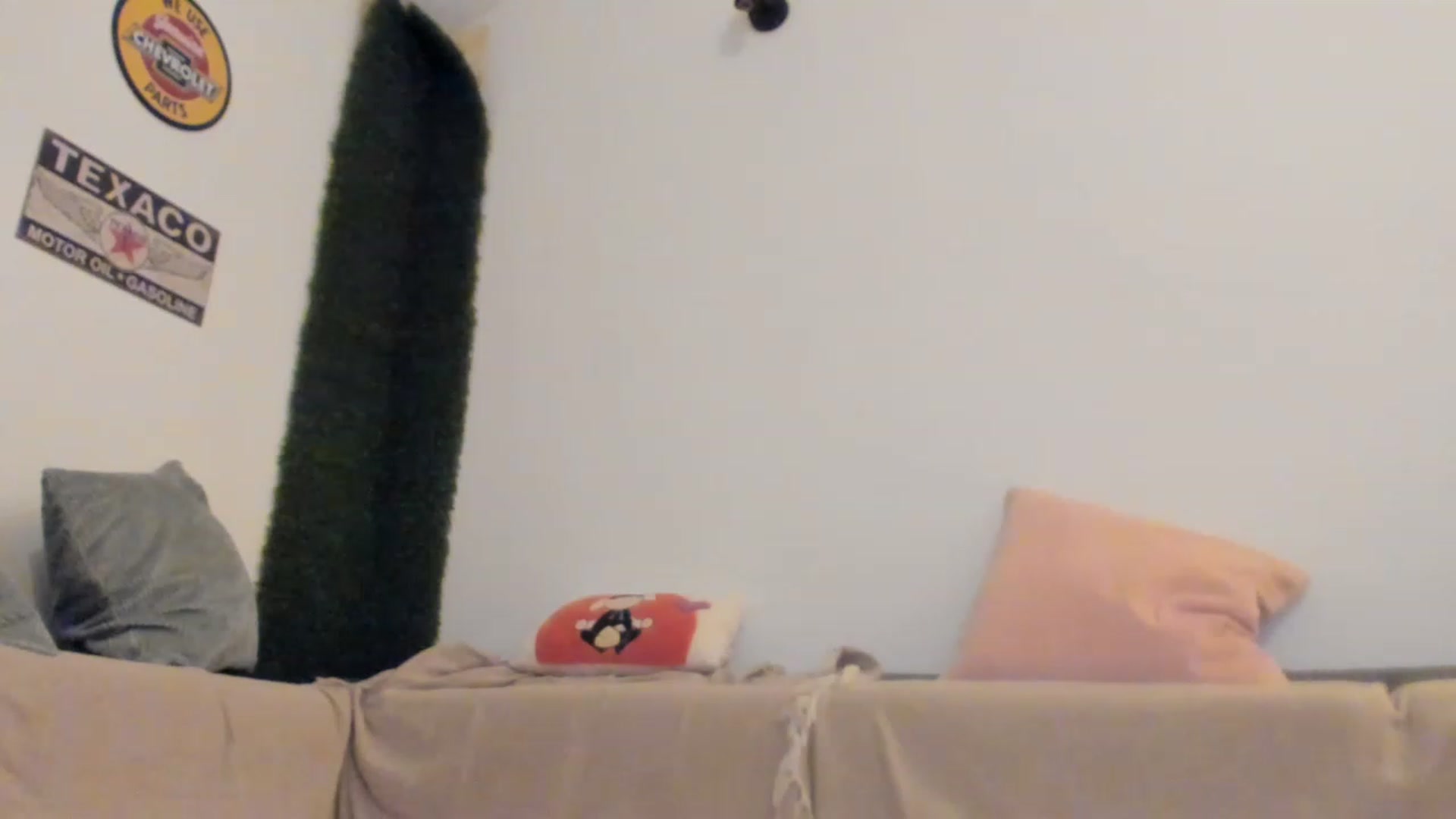 Gallery image thumbnail from PisuVamp_'s myfreecams stream on, 04/26/2023, 21:52 image 6 of 20