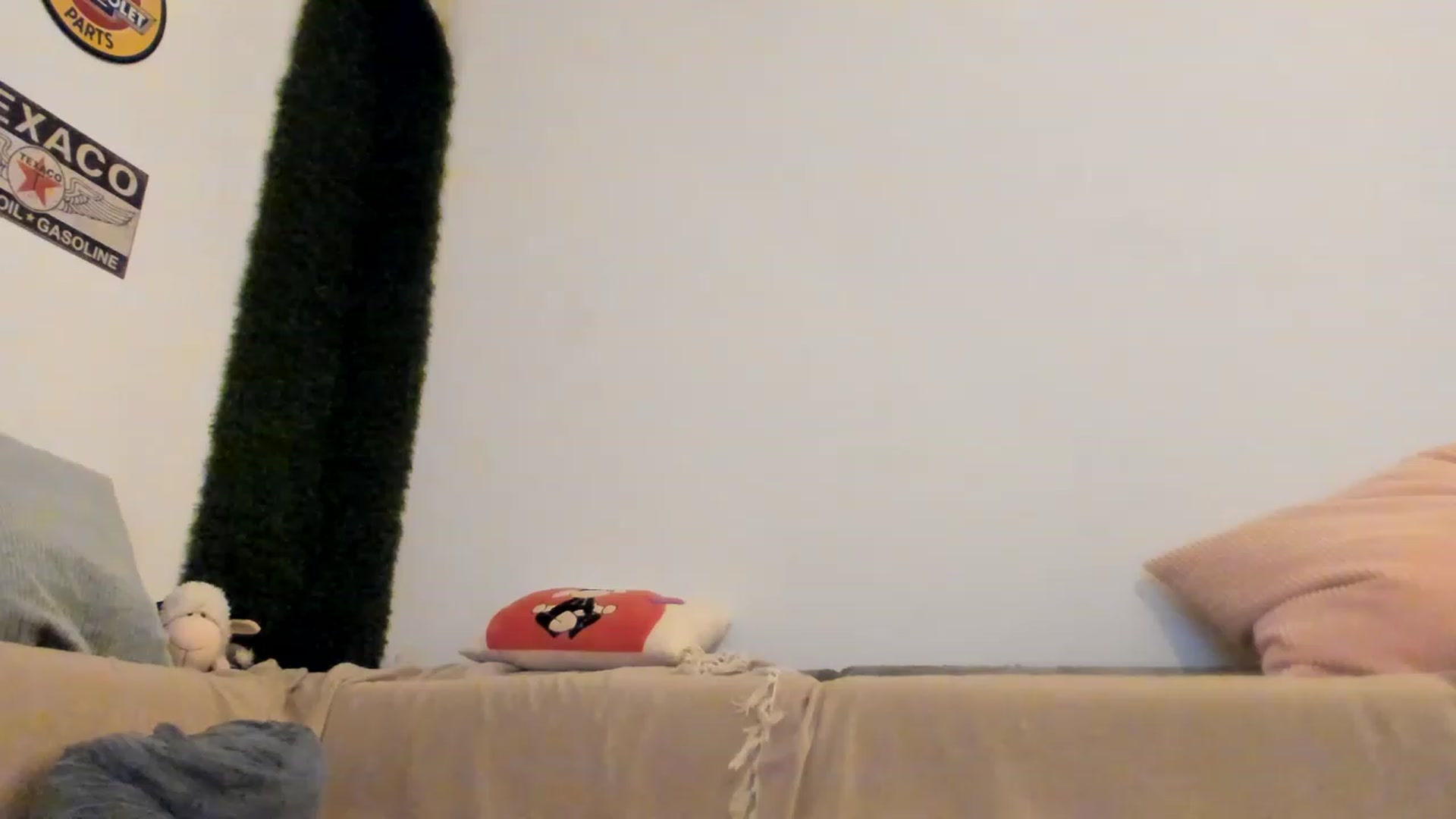 Gallery image thumbnail from PisuVamp_'s myfreecams stream on, 05/19/2023, 22:04 image 5 of 20