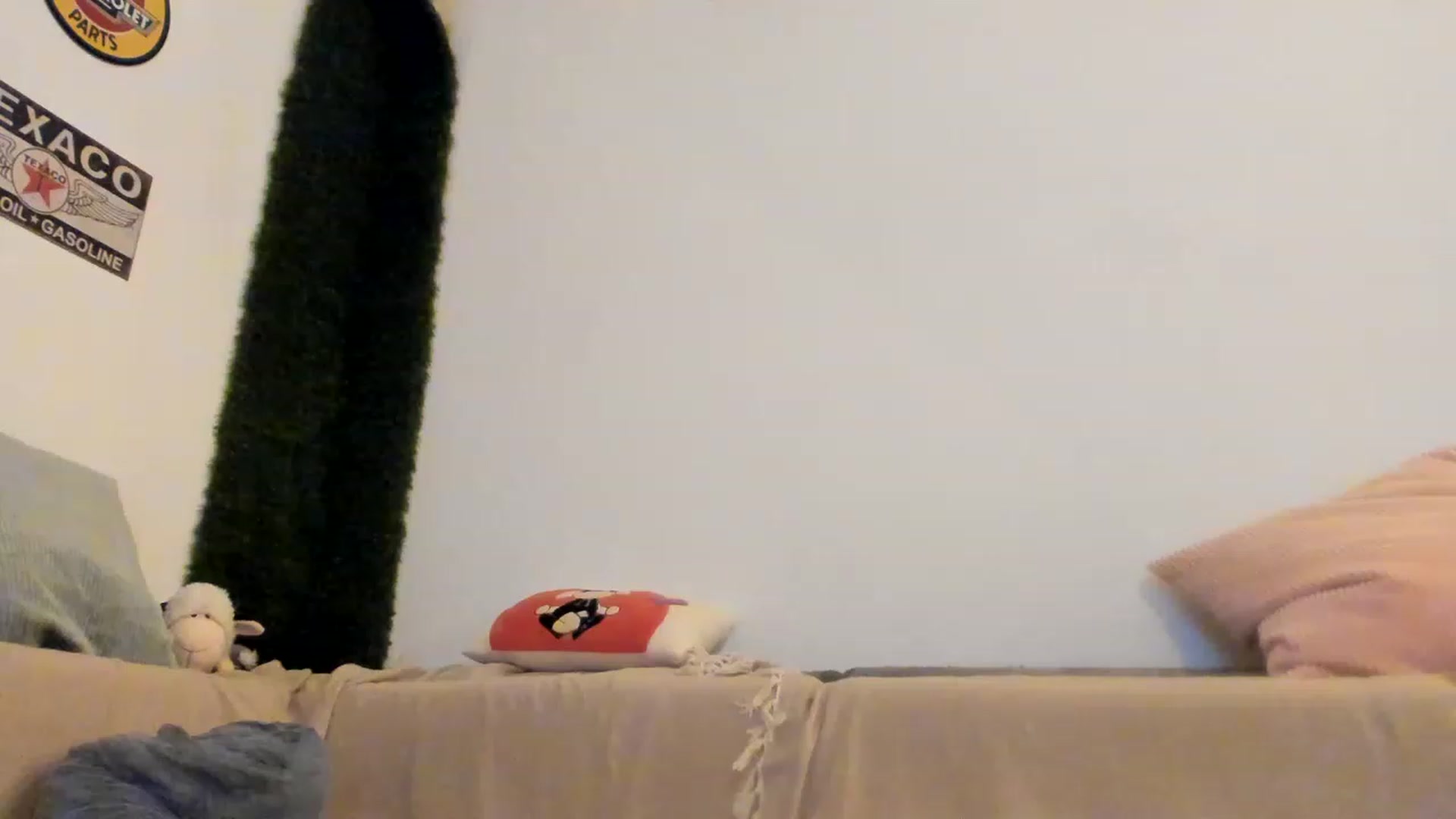 Gallery image thumbnail from PisuVamp_'s myfreecams stream on, 05/19/2023, 22:04 image 4 of 20