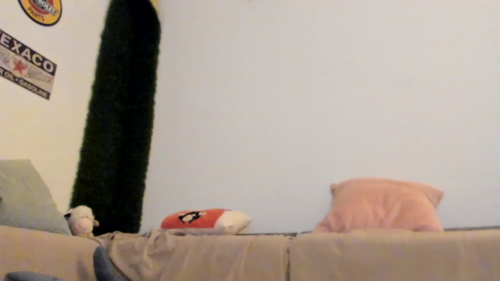 Gallery image thumbnail from PisuVamp_'s myfreecams stream on, 06/01/2023, 20:32 image 16 of 20
