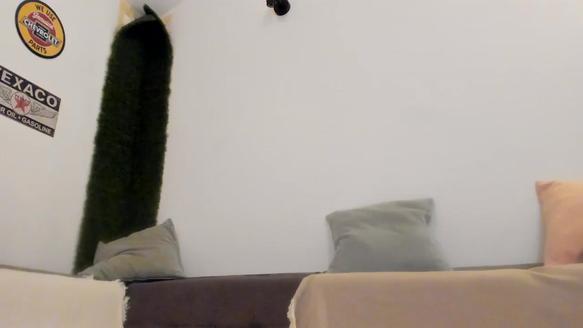 Gallery image thumbnail from PisuVamp_'s myfreecams stream on, 07/11/2024, 21:36 image 20 of 20