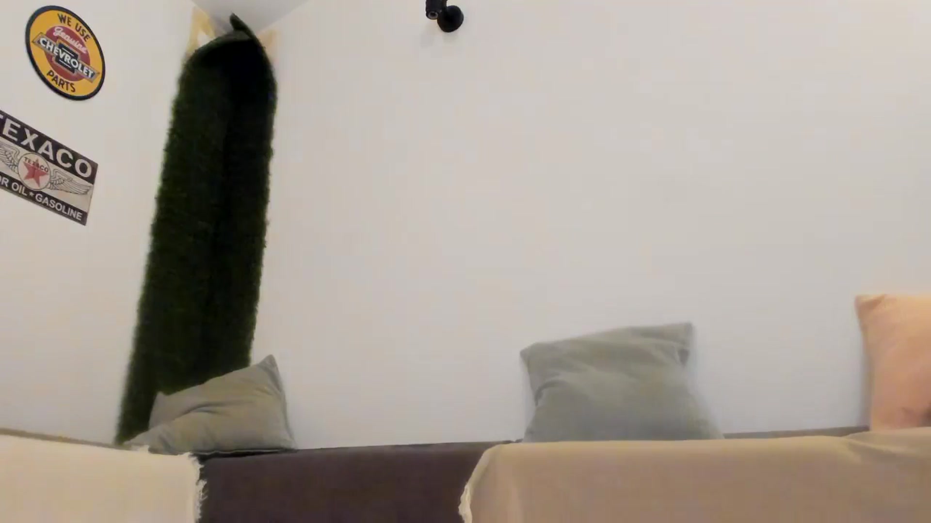 Gallery image thumbnail from PisuVamp_'s myfreecams stream on, 07/11/2024, 21:36 image 19 of 20