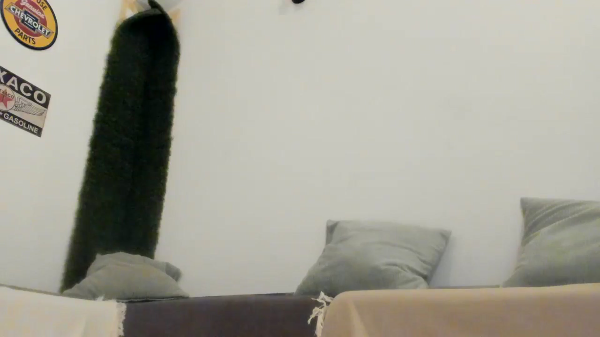 Gallery image thumbnail from PisuVamp_'s myfreecams stream on, 07/20/2024, 20:45 image 19 of 20