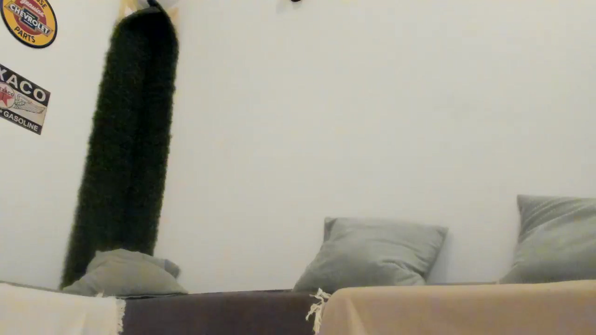 Gallery image thumbnail from PisuVamp_'s myfreecams stream on, 07/20/2024, 20:45 image 20 of 20