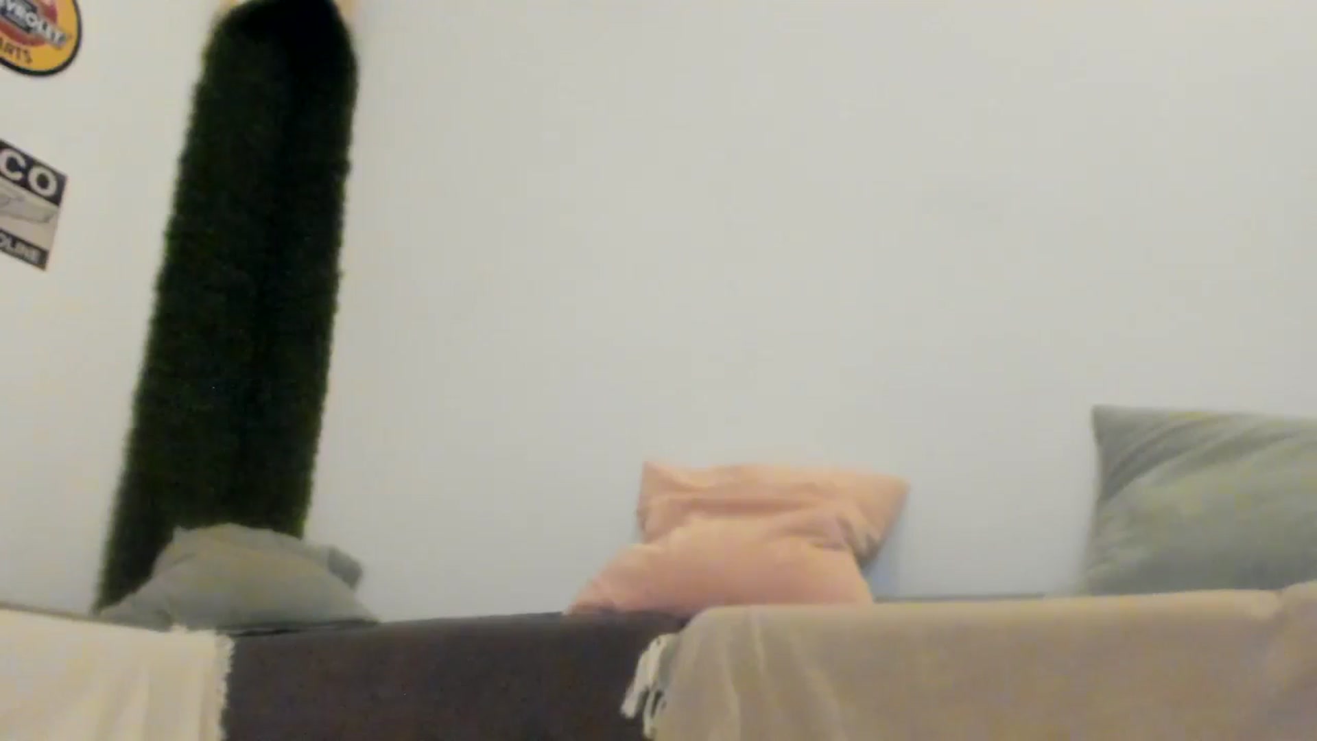 Gallery image thumbnail from PisuVamp_'s myfreecams stream on, 07/22/2024, 21:02 image 10 of 20