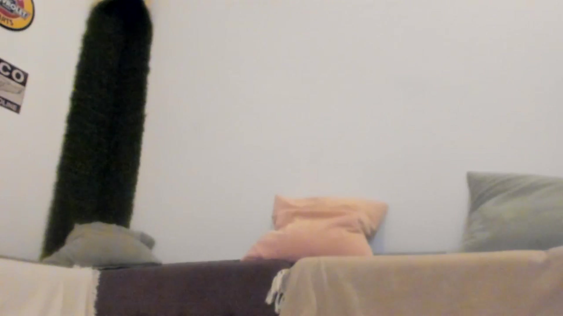 Gallery image thumbnail from PisuVamp_'s myfreecams stream on, 07/22/2024, 21:02 image 12 of 20