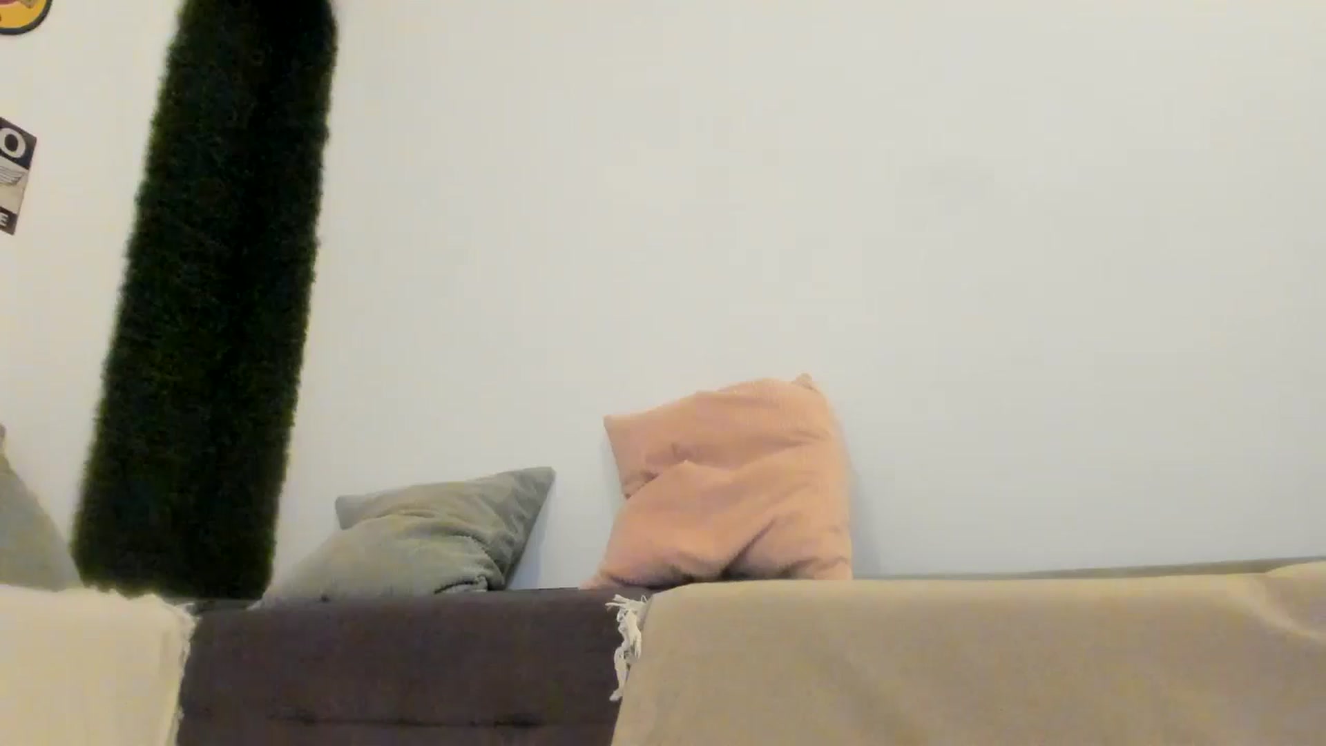 Gallery image thumbnail from PisuVamp_'s myfreecams stream on, 08/08/2024, 21:04 image 7 of 20