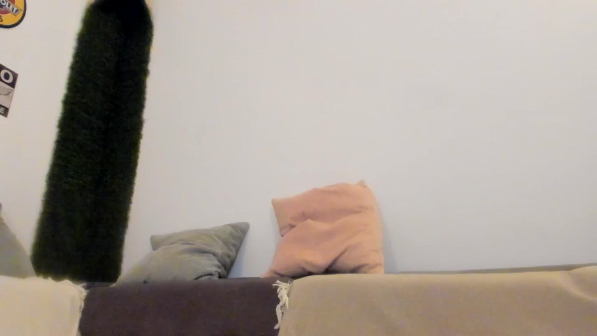 Gallery image thumbnail from PisuVamp_'s myfreecams stream on, 08/08/2024, 21:04 image 6 of 20