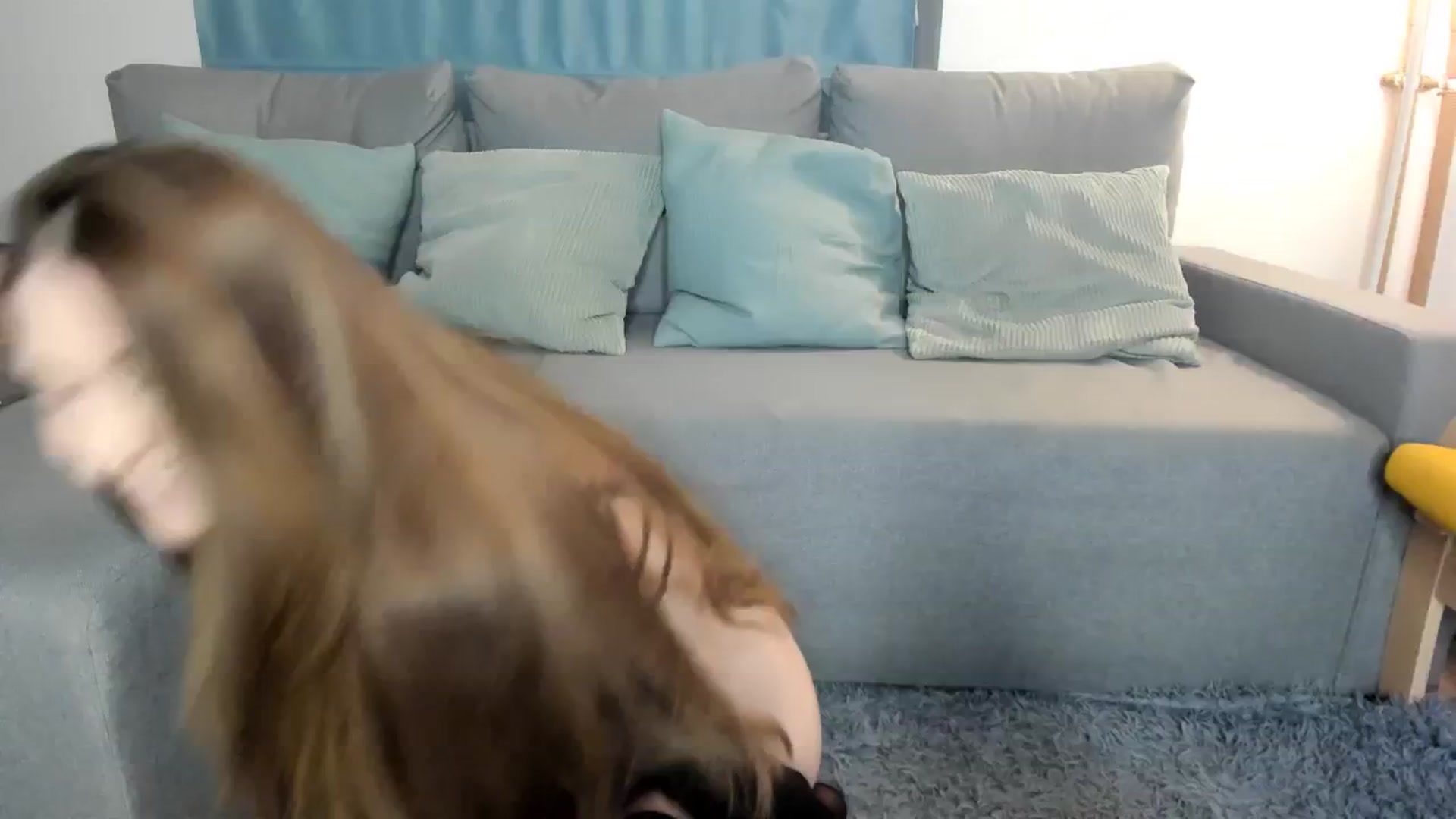 Gallery image thumbnail from Pixelss's myfreecams stream on, 11/15/2025, 24:47 image 4 of 20