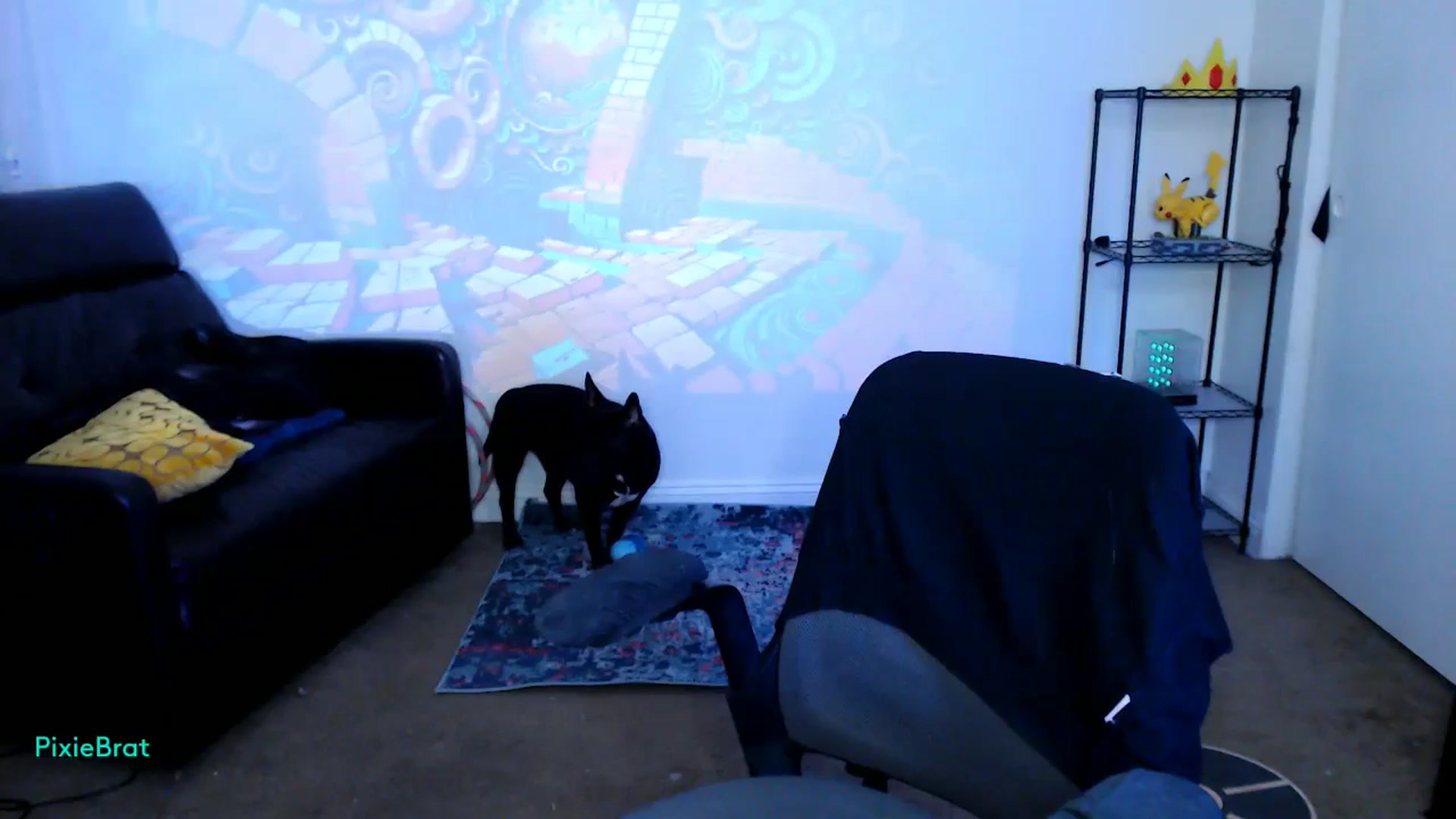 Gallery image thumbnail from PixieBrat's myfreecams stream on, 10/03/2024, 07:32 image 18 of 20