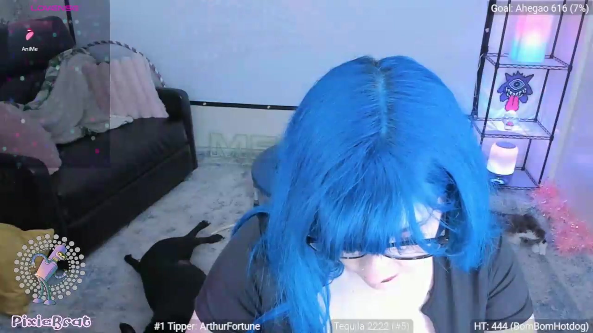 Gallery image thumbnail from PixieBrat's myfreecams stream on, 06/06/2026, 10:13 image 8 of 20
