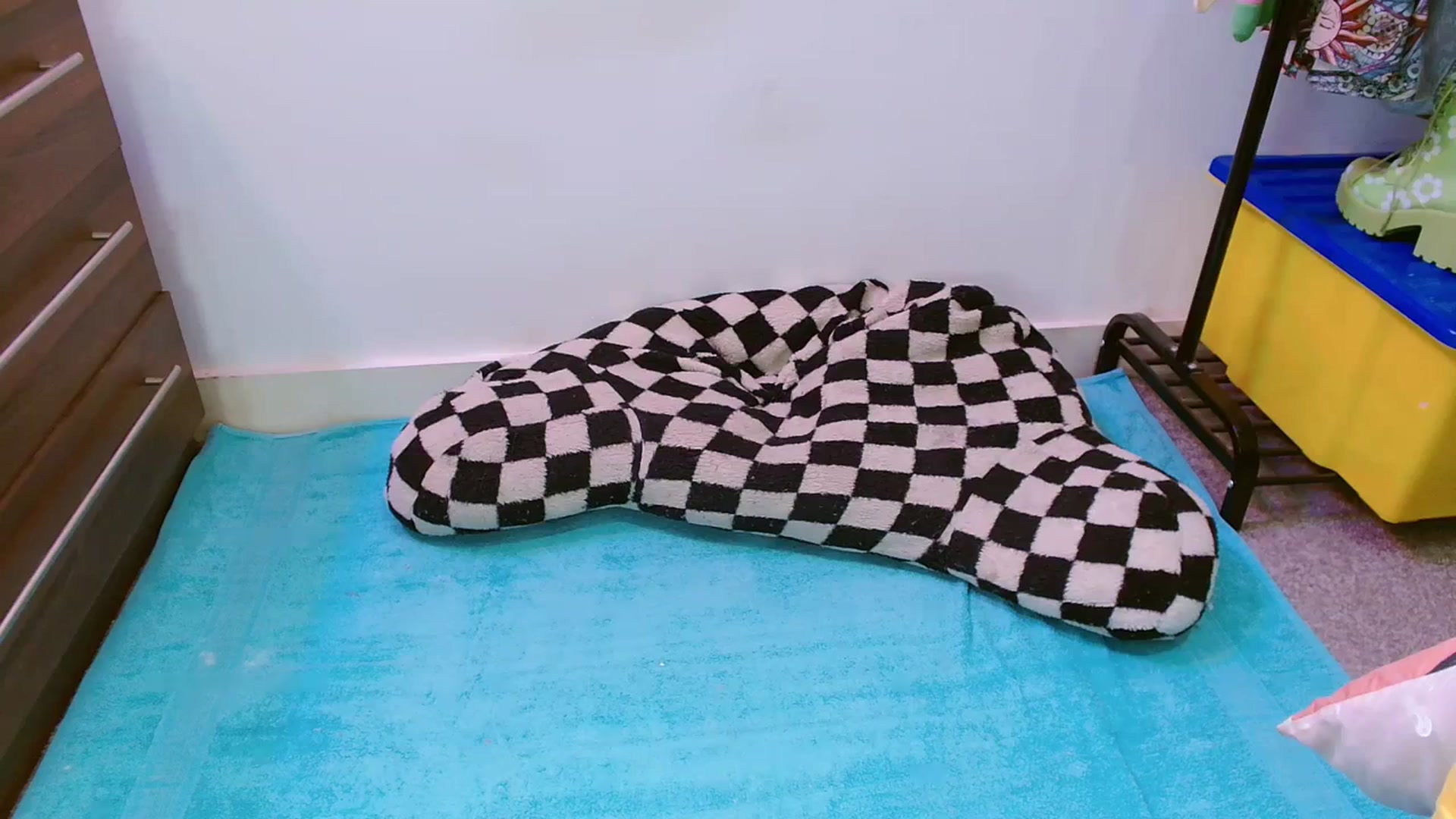 Gallery image thumbnail from Pixie_Snow's myfreecams stream on, 01/20/2024, 17:47 image 17 of 20