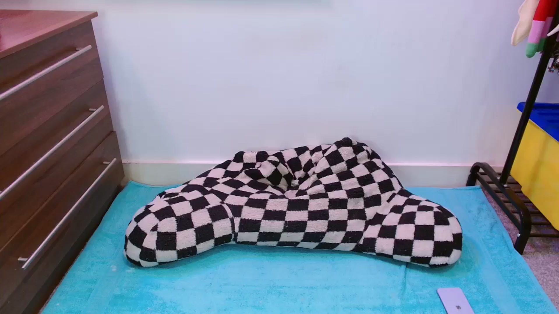 Gallery image thumbnail from Pixie_Snow's myfreecams stream on, 01/20/2024, 20:33 image 20 of 20