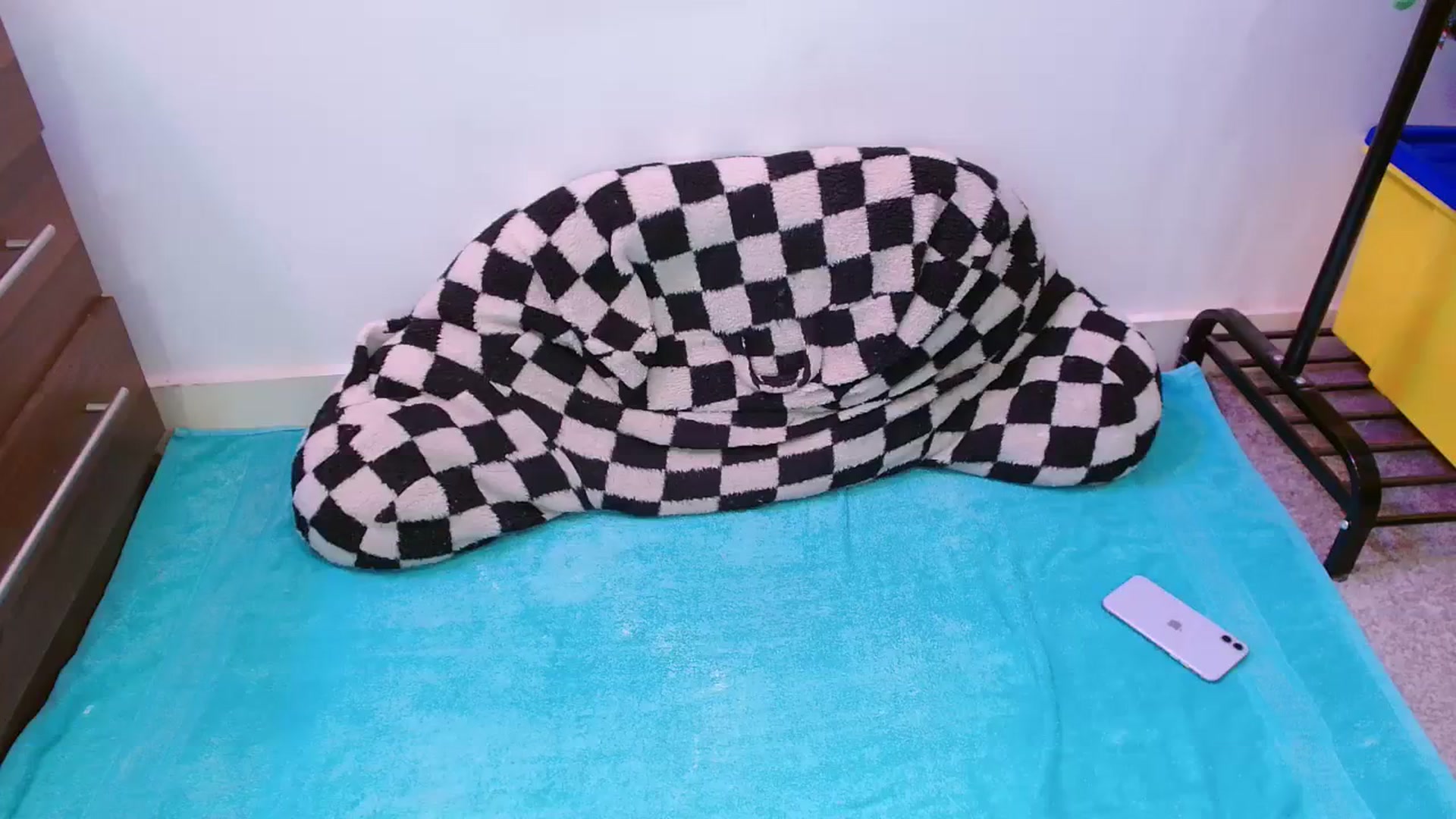Gallery image thumbnail from Pixie_Snow's myfreecams stream on, 01/26/2024, 16:11 image 11 of 20