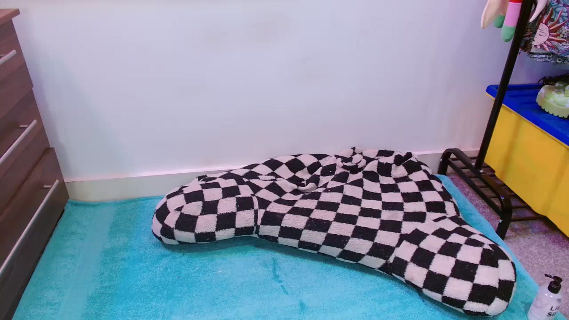 Gallery image thumbnail from Pixie_Snow's myfreecams stream on, 01/28/2024, 18:06 image 8 of 20