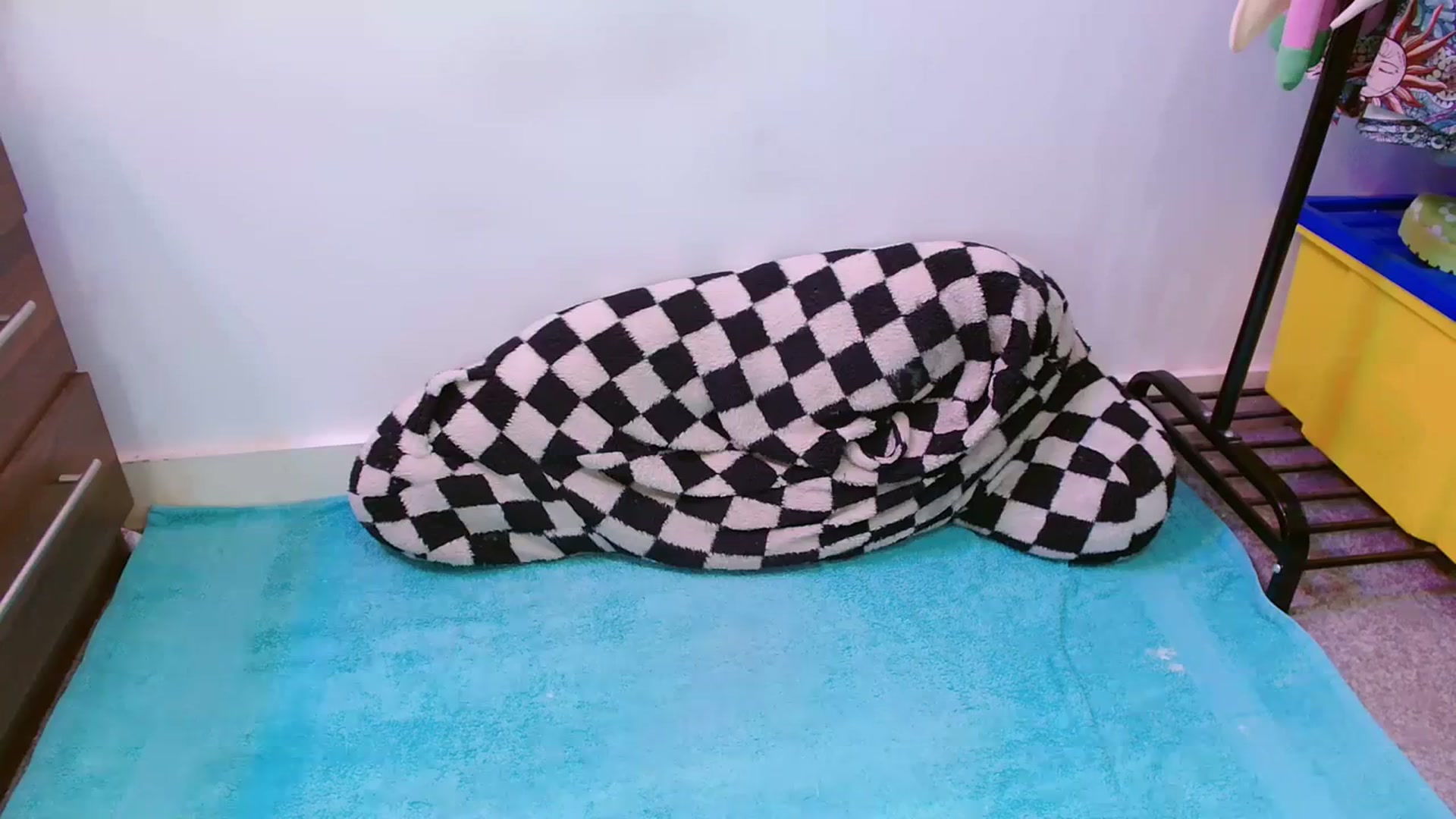 Gallery image thumbnail from Pixie_Snow's myfreecams stream on, 02/12/2024, 16:09 image 11 of 20