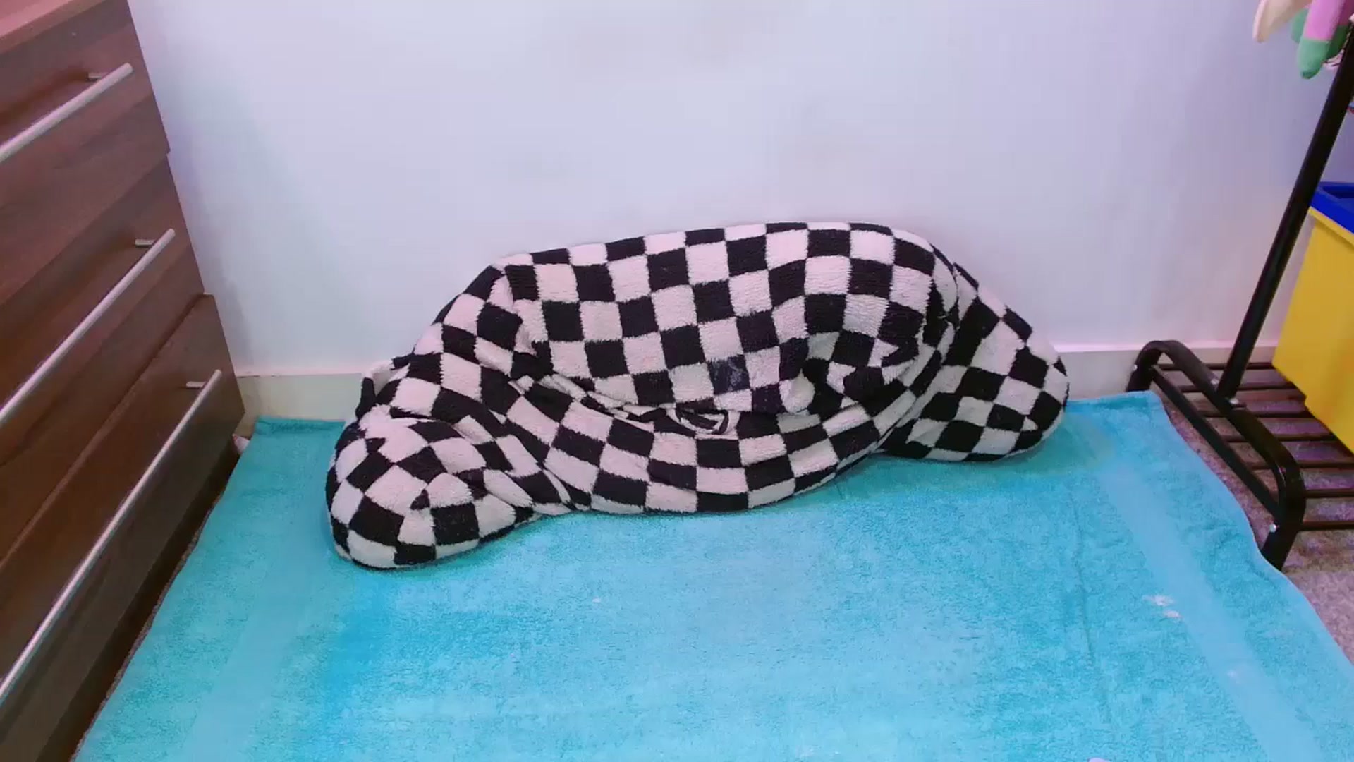 Gallery image thumbnail from Pixie_Snow's myfreecams stream on, 02/12/2024, 16:09 image 16 of 20