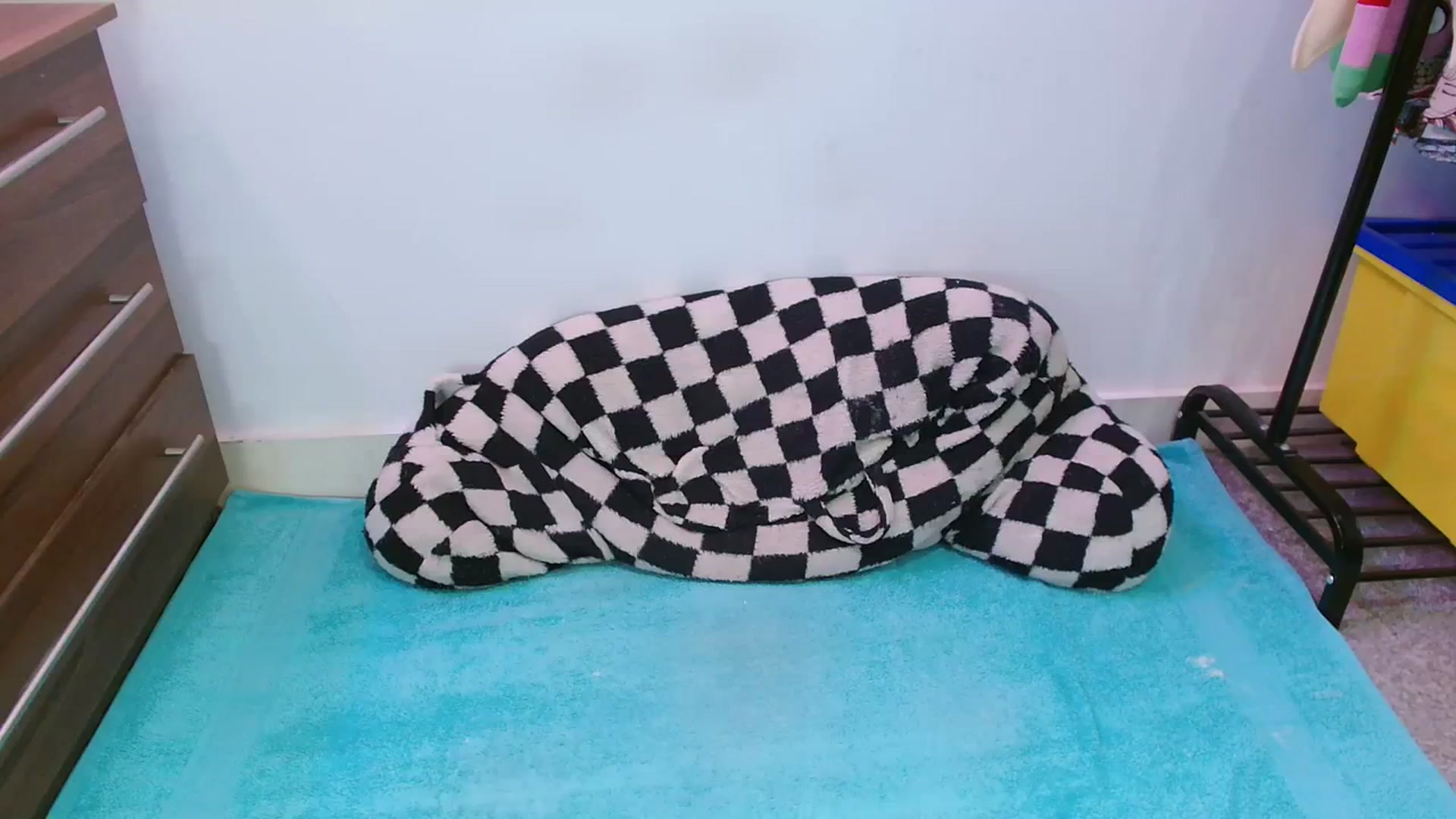 Gallery image thumbnail from Pixie_Snow's myfreecams stream on, 02/19/2024, 13:36 image 8 of 20