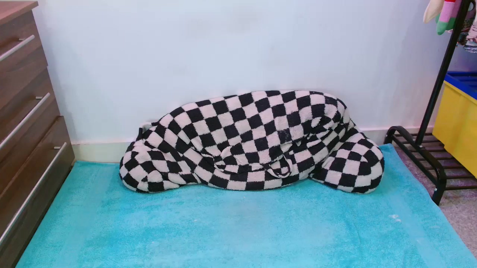 Gallery image thumbnail from Pixie_Snow's myfreecams stream on, 02/19/2024, 13:36 image 4 of 20