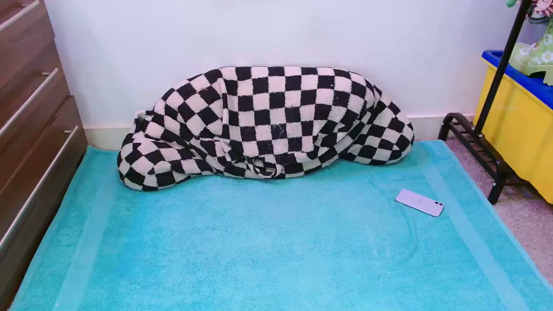 Gallery image thumbnail from Pixie_Snow's myfreecams stream on, 02/27/2024, 15:13 image 1 of 20