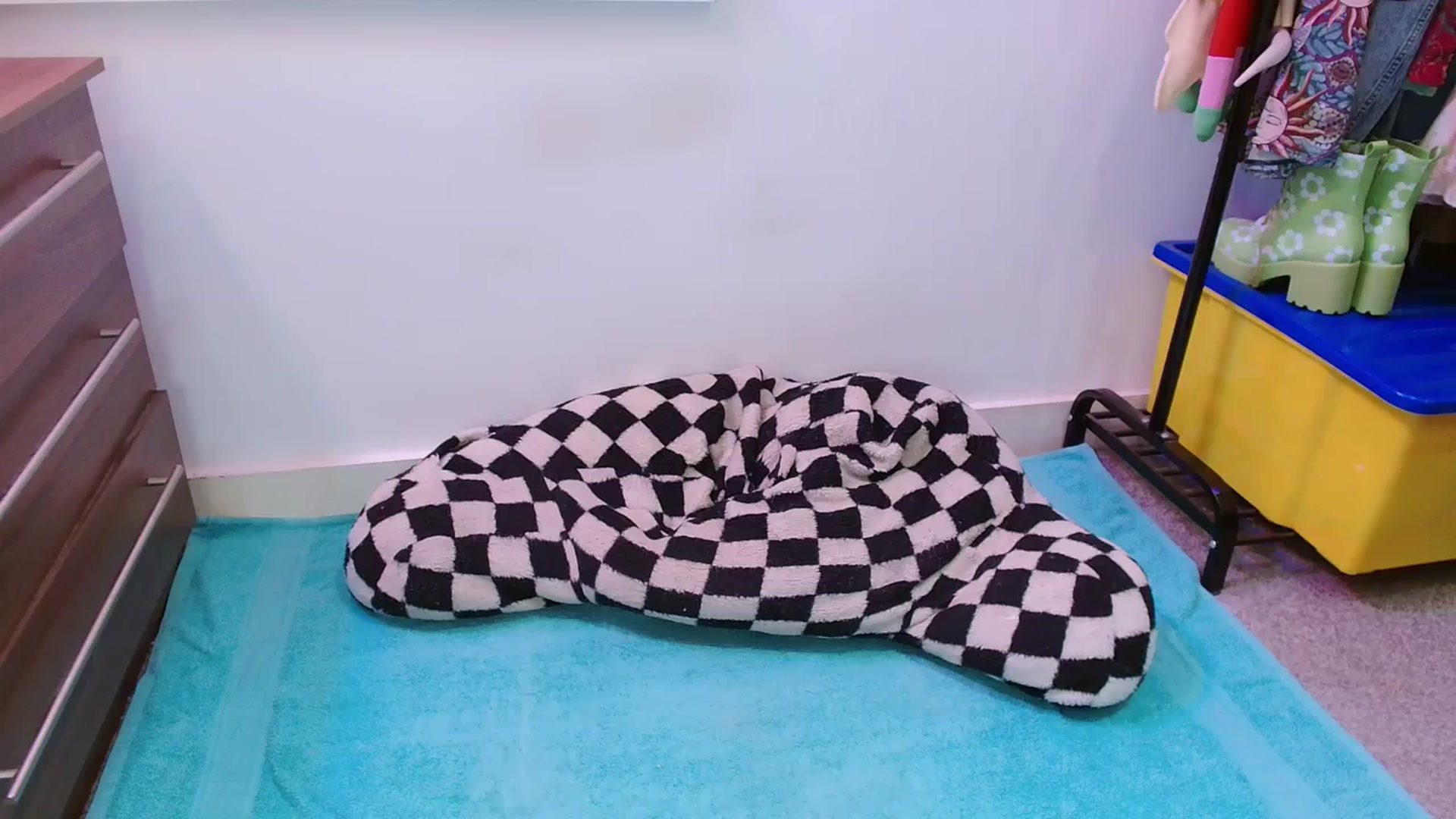 Gallery image thumbnail from Pixie_Snow's myfreecams stream on, 03/03/2024, 13:28 image 9 of 20