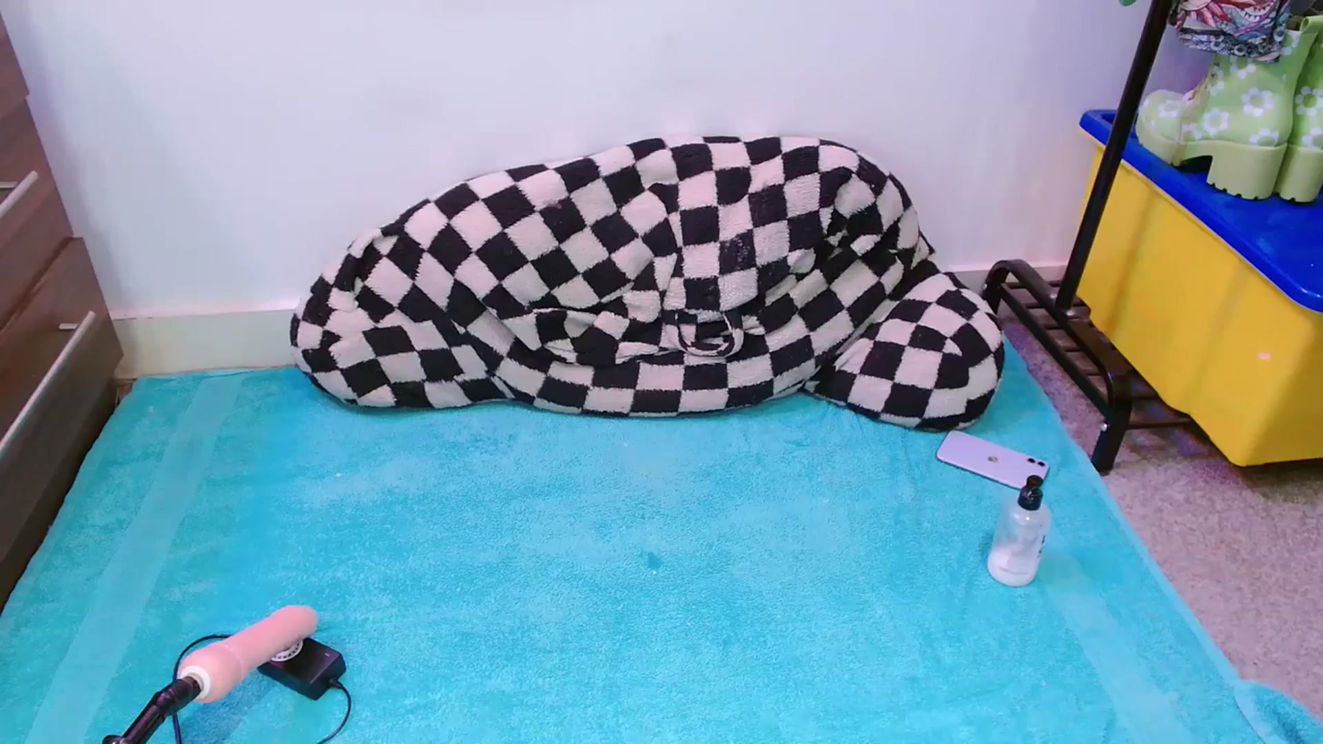 Gallery image thumbnail from Pixie_Snow's myfreecams stream on, 03/04/2024, 13:23 image 18 of 20
