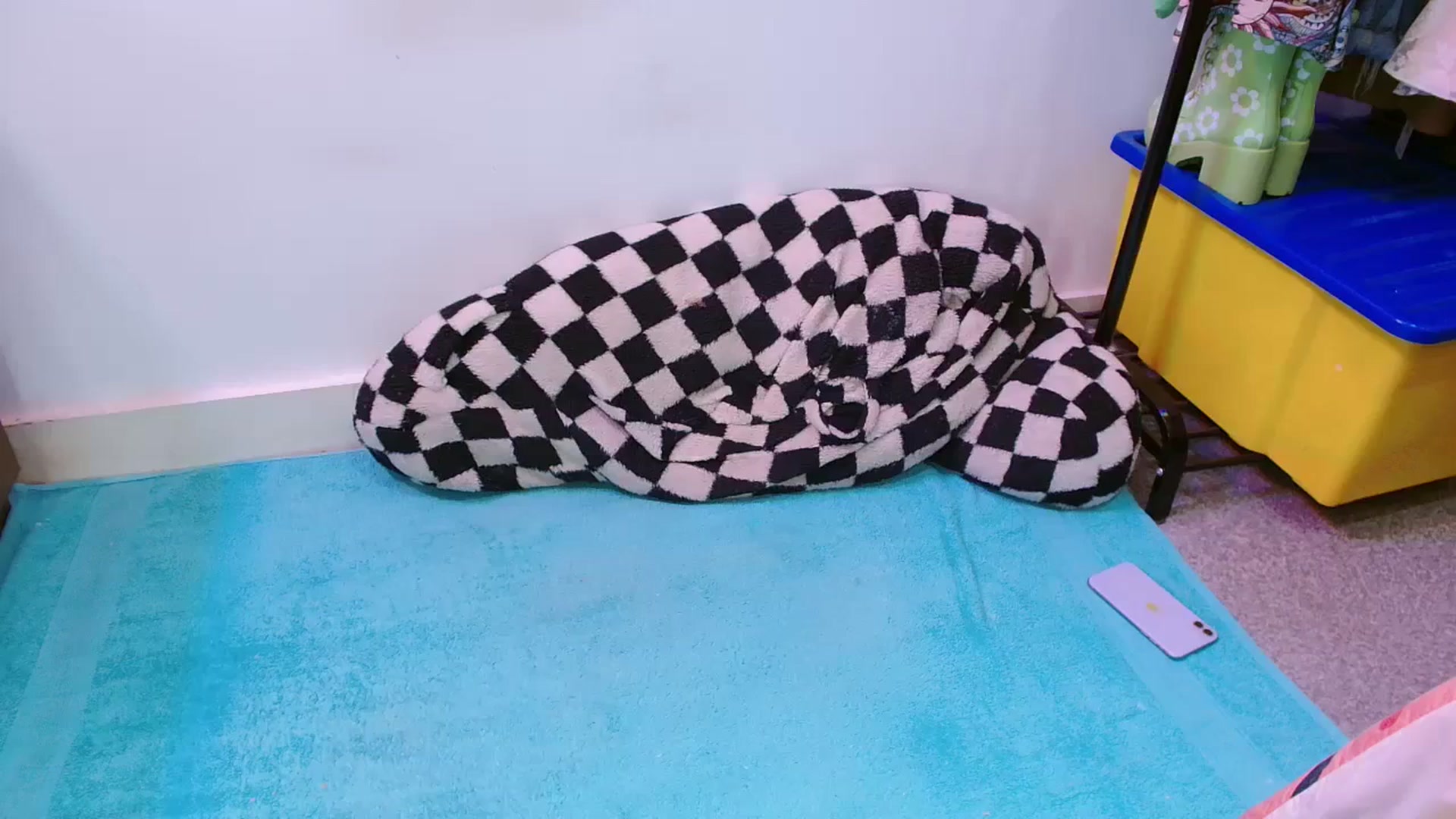 Gallery image thumbnail from Pixie_Snow's myfreecams stream on, 03/16/2024, 18:04 image 18 of 20