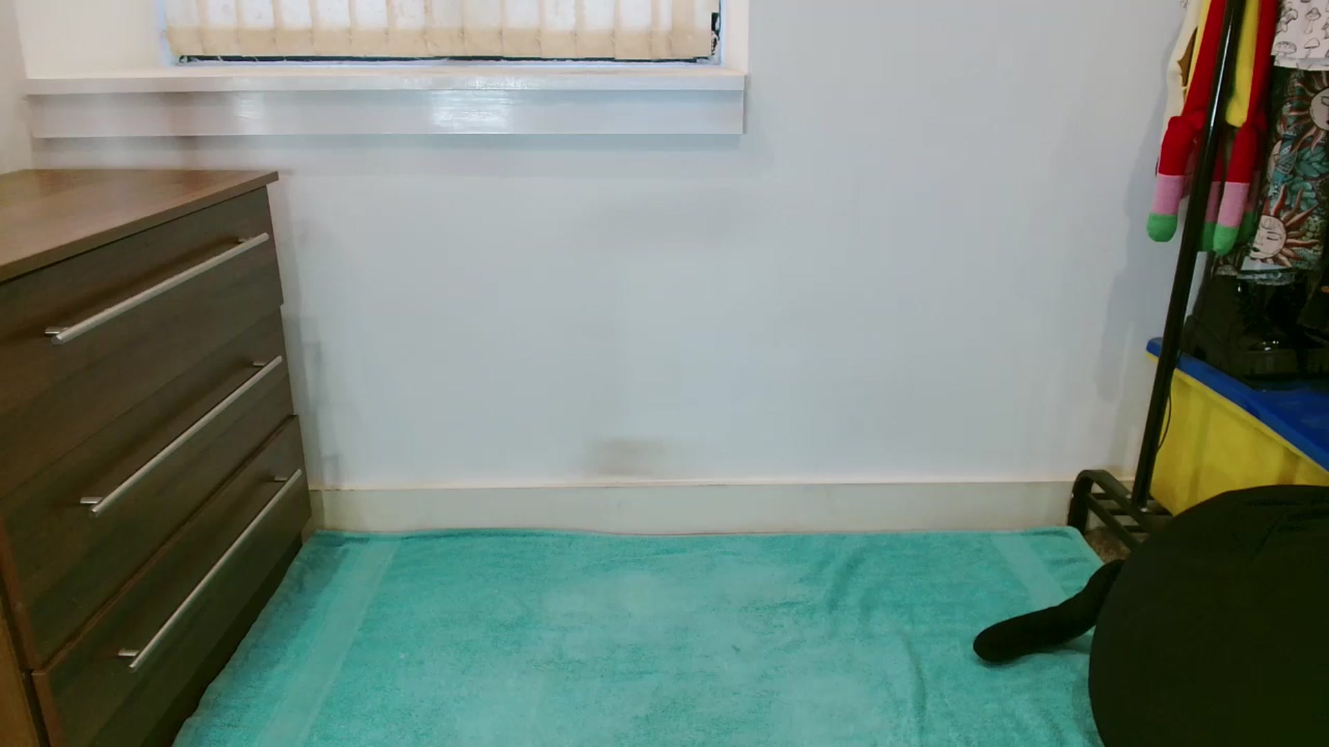Gallery image thumbnail from Pixie_Snow's myfreecams stream on, 10/02/2024, 15:48 image 3 of 20