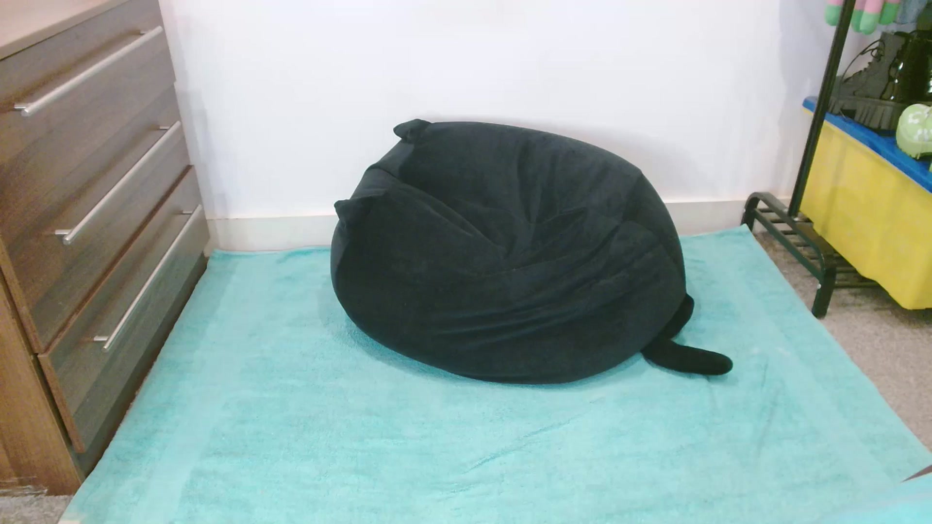Gallery image thumbnail from Pixie_Snow's myfreecams stream on, 10/10/2024, 11:48 image 19 of 20